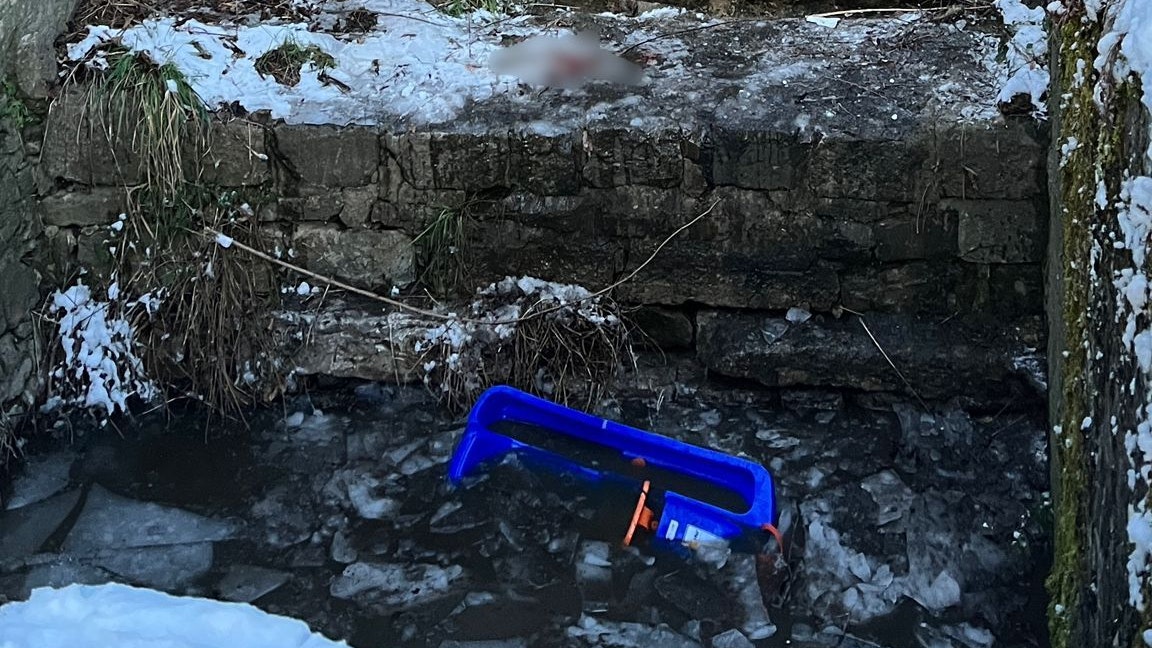 Der Bursch erlitt schwere Verletzungen.