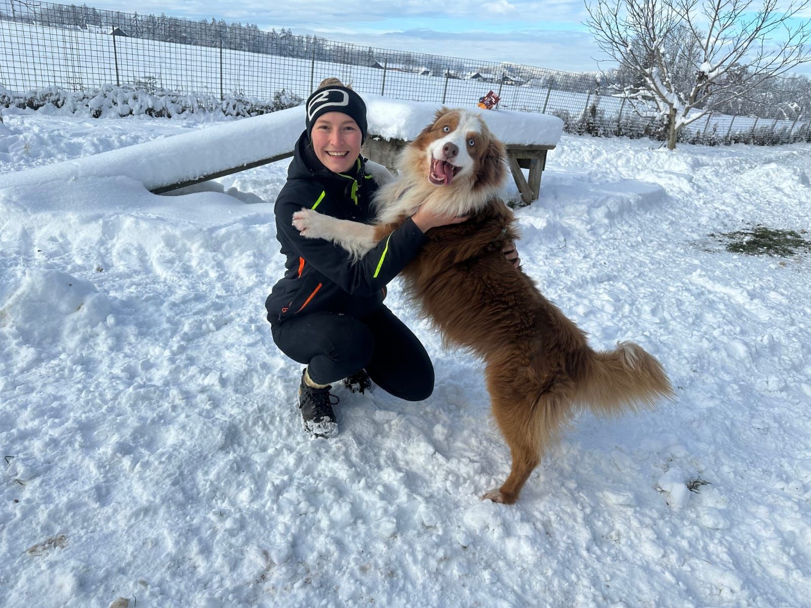 Auch dieser hübsche Kerl wartet auf ein neues Zuhause.&nbsp;