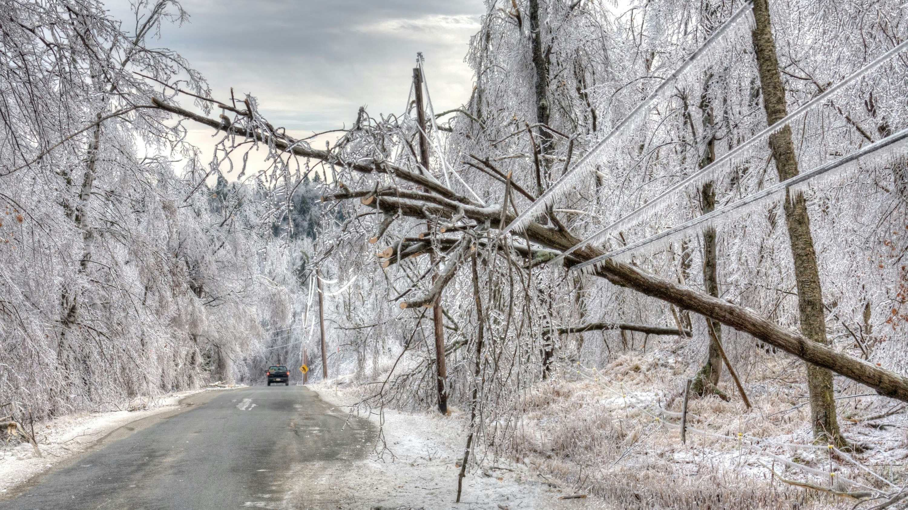 Während eines Wintersturms in Oregon kamen drei Menschen ums Leben.