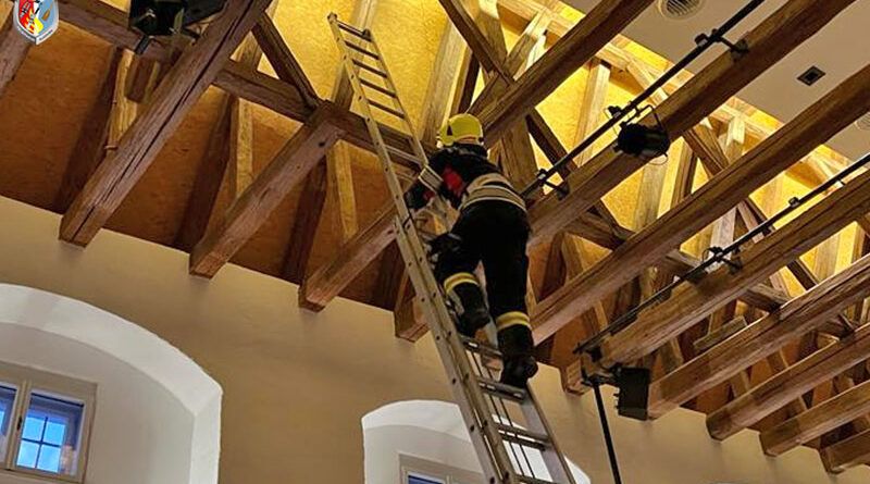 Ein Helfer begab sich in luftige Höhen, um den Übeltäter einzufangen.