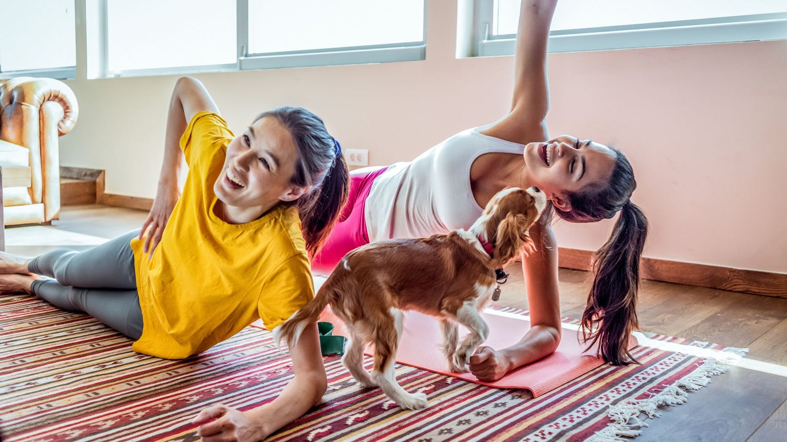 Tierschützer warnen vor neuem Trendsport: Puppy Yoga