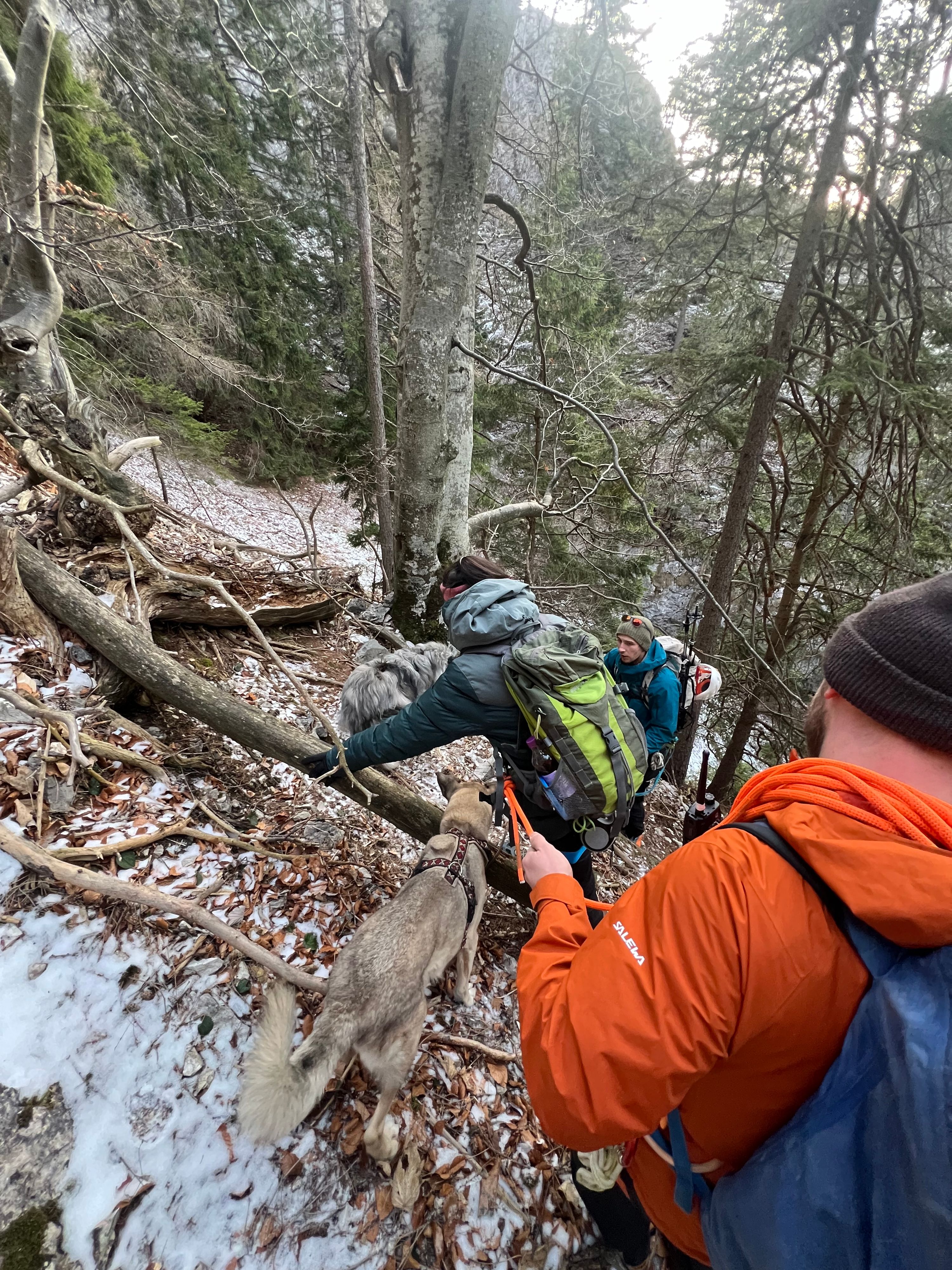 Die Bergrettung Reichenau rettete die Frau und ihre Hunde vom Mariensteig.