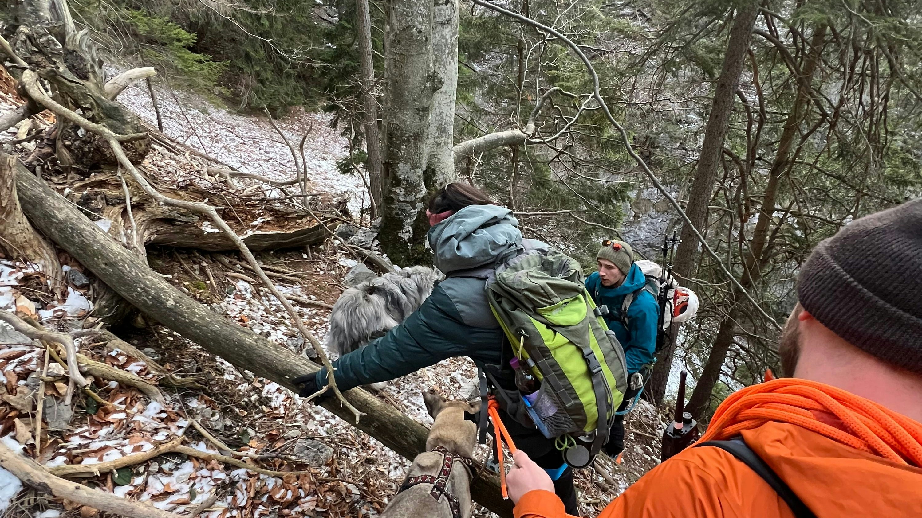 Die Bergrettung Reichenau rettete die Frau und ihre Hunde vom Mariensteig.