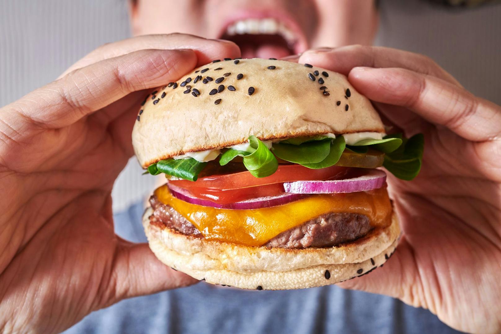 Zwischen den Brothälften finden sich Lachs, Garnelen, Thunfisch oder Bulgogi-Beef&nbsp;