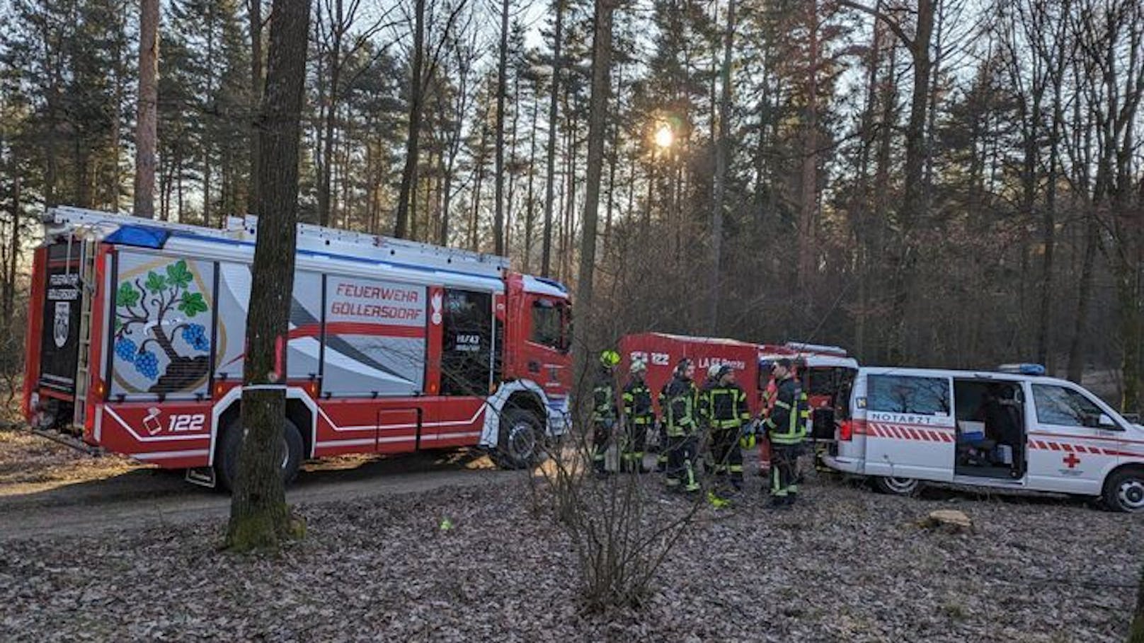 Mann bei Waldarbeiten von Baum getroffen - tot