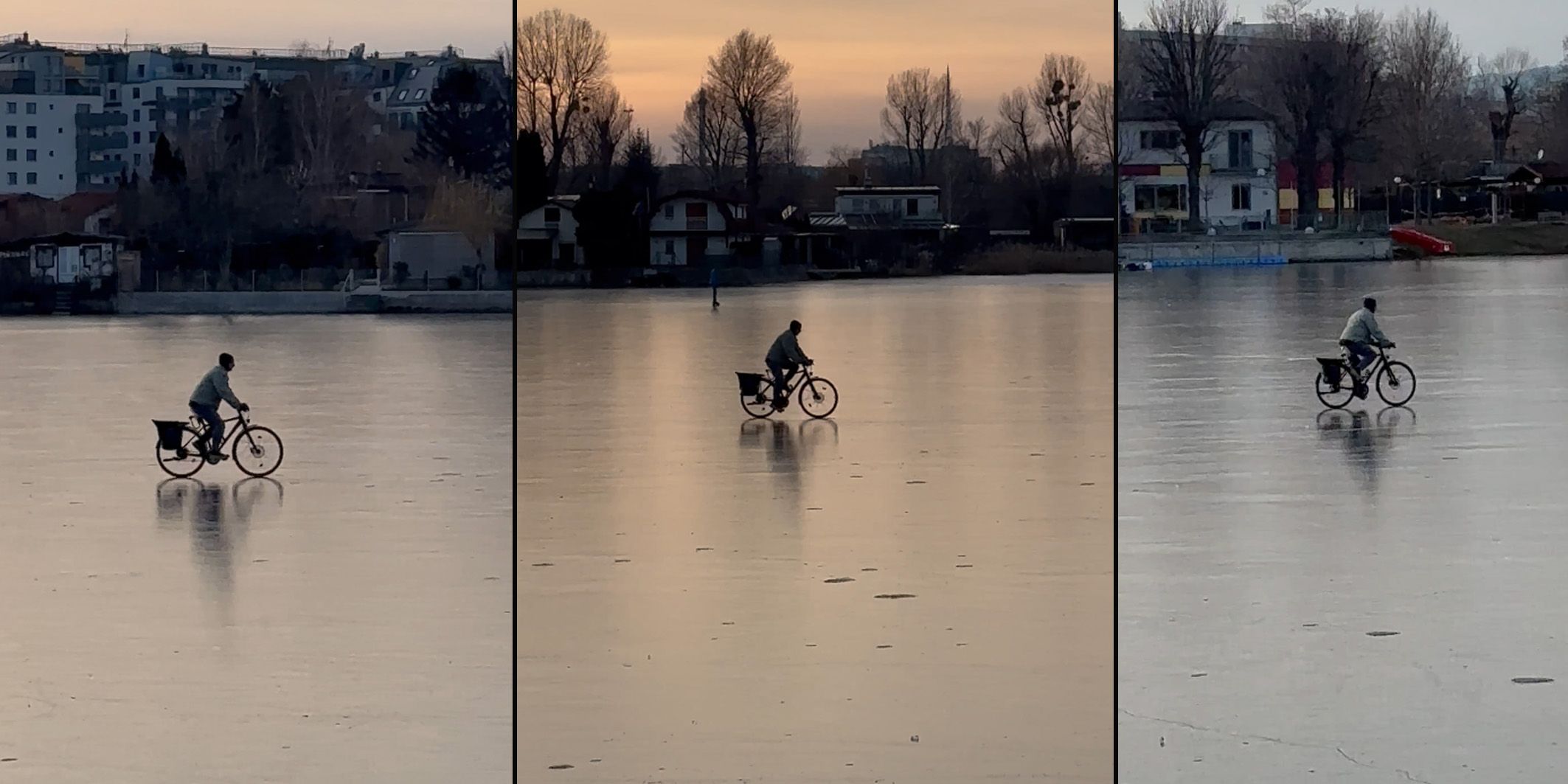 Mit dem Fahrrad auf der Donau – ein Wiener kann es einfach nicht fassen, was sich manch einer traut.