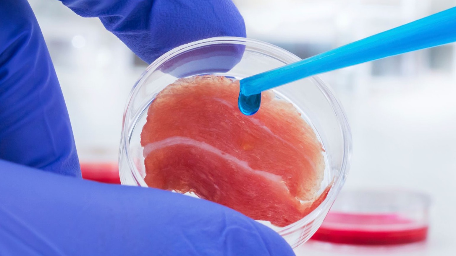 Laborfleisch könnte bald auf den Tellern der Österreicher landen.