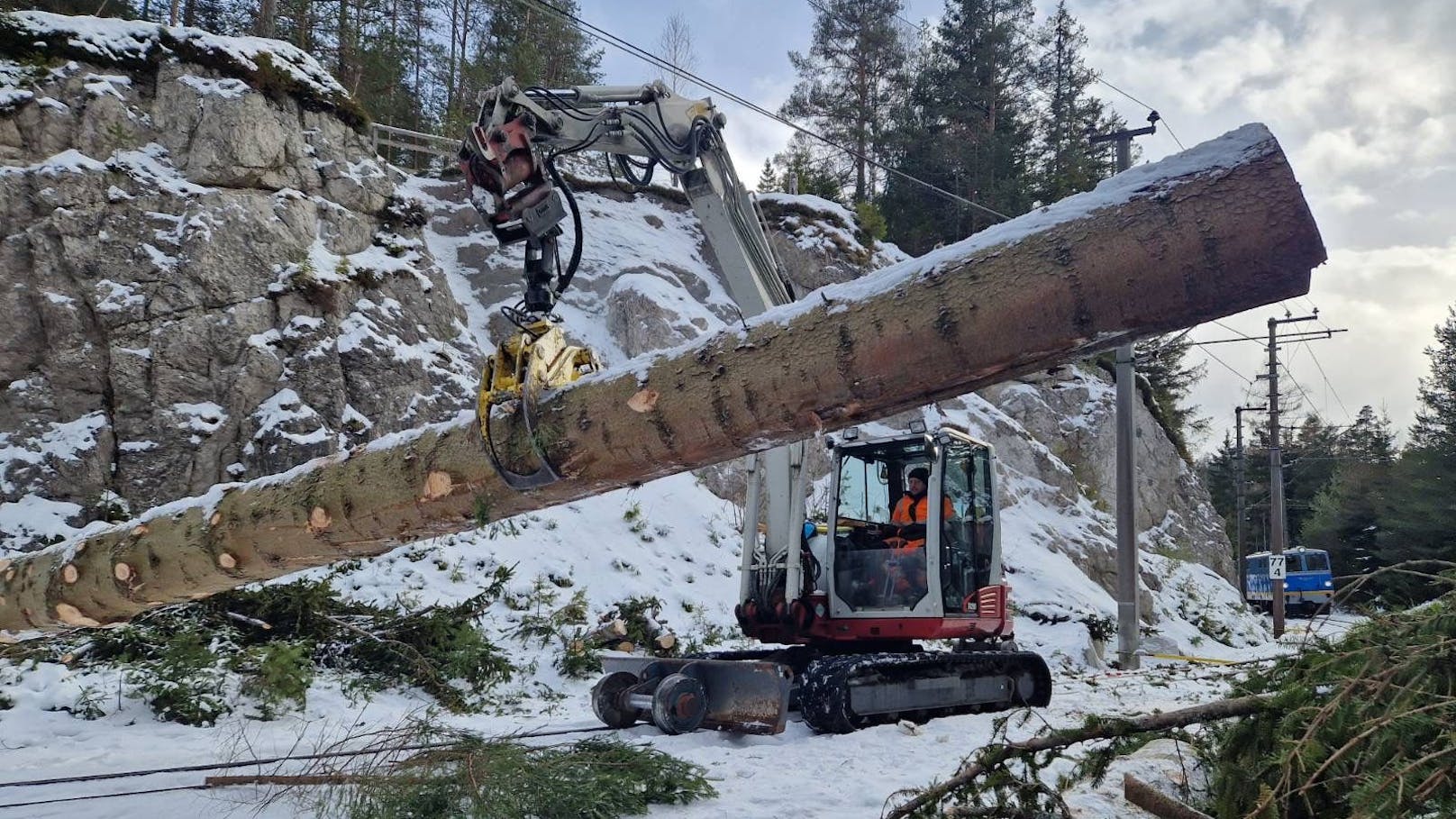 15 Mitarbeiter arbeiteten knapp 5 Wochen lang.