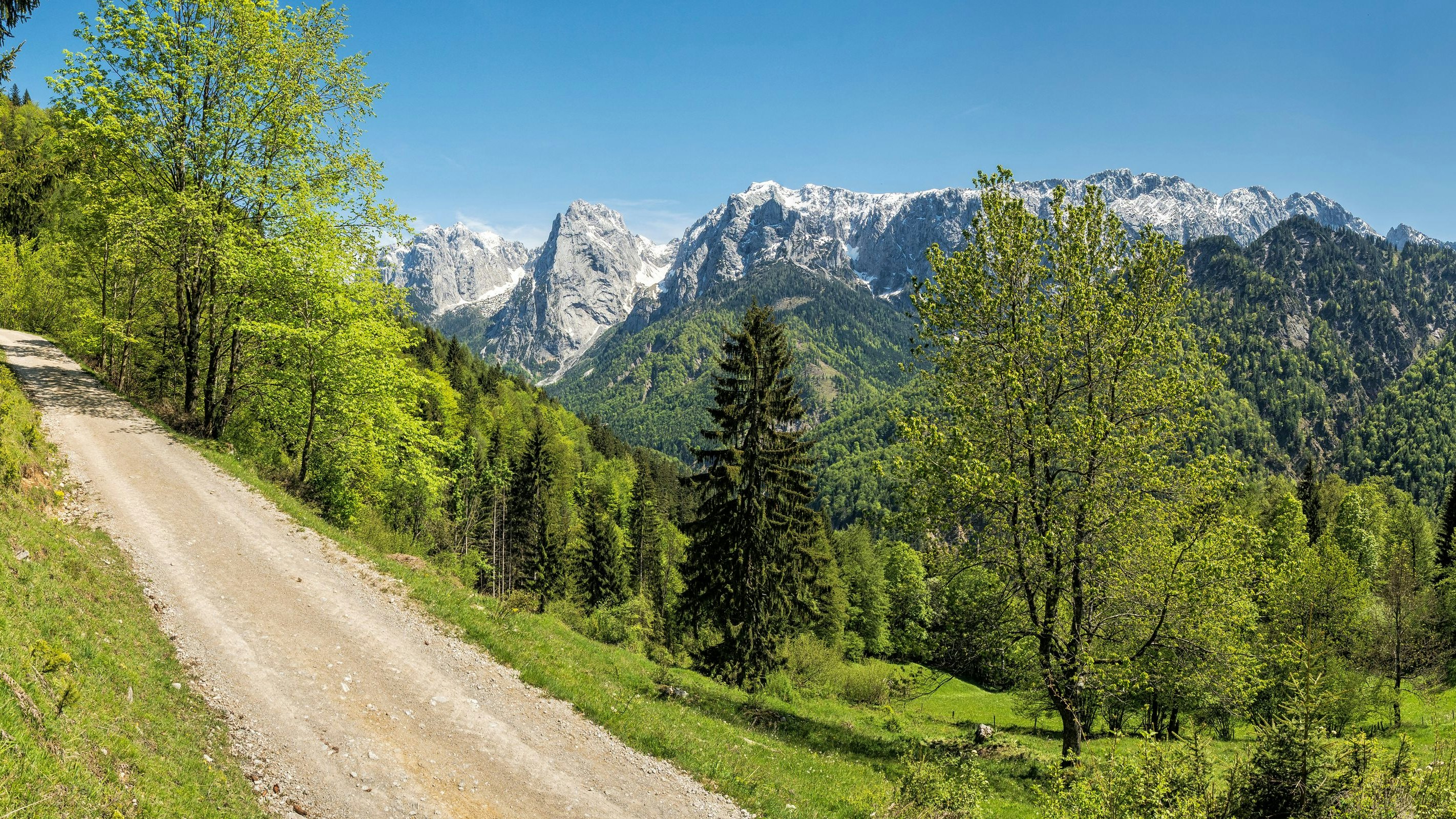 Das Pachtgebiet liegt im Tiroler Kaisertal. 