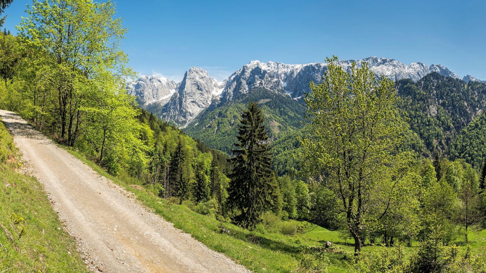 Das Pachtgebiet liegt im Tiroler Kaisertal. 