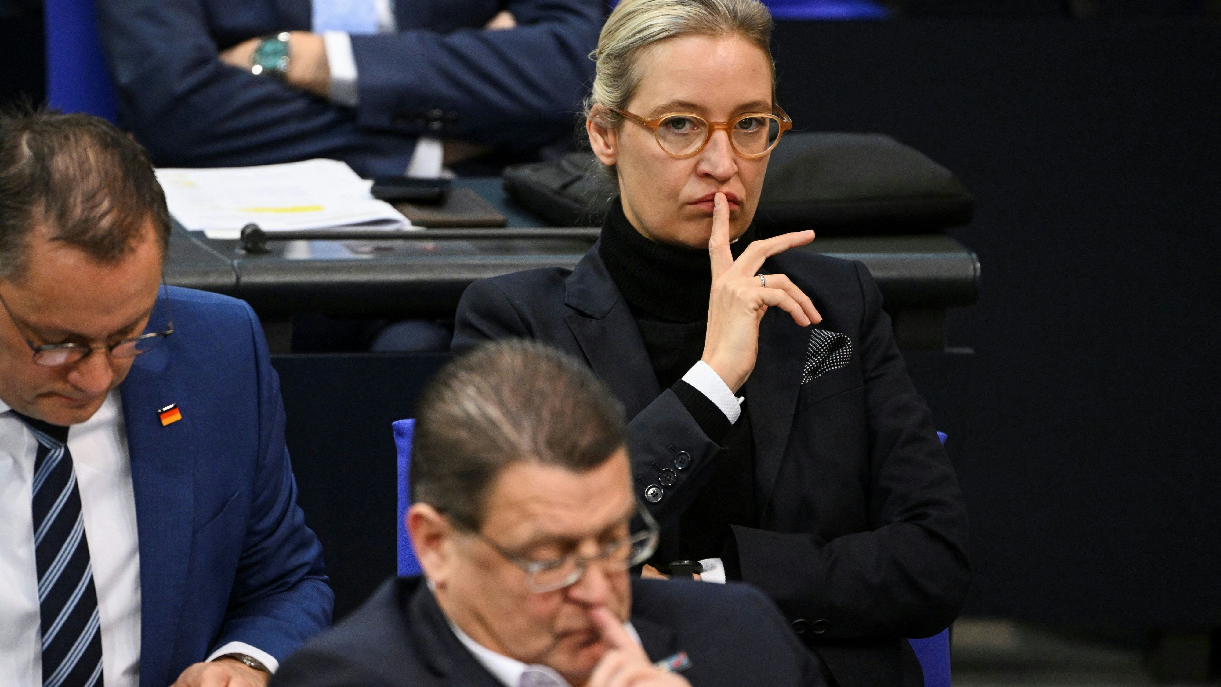 Alice Weidel (AfD) im Deutschen Bundestag