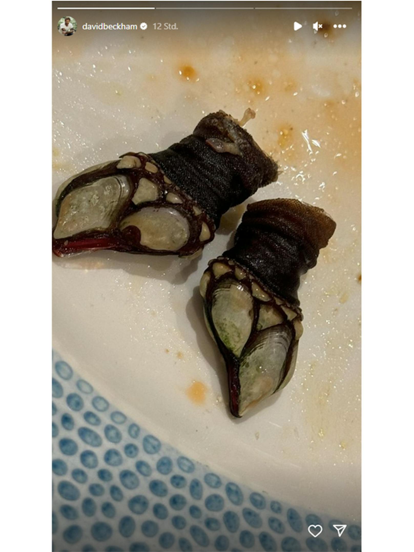 Manche vergleichen Percebes mit Drachenklauen und Dinosaurierzehen.