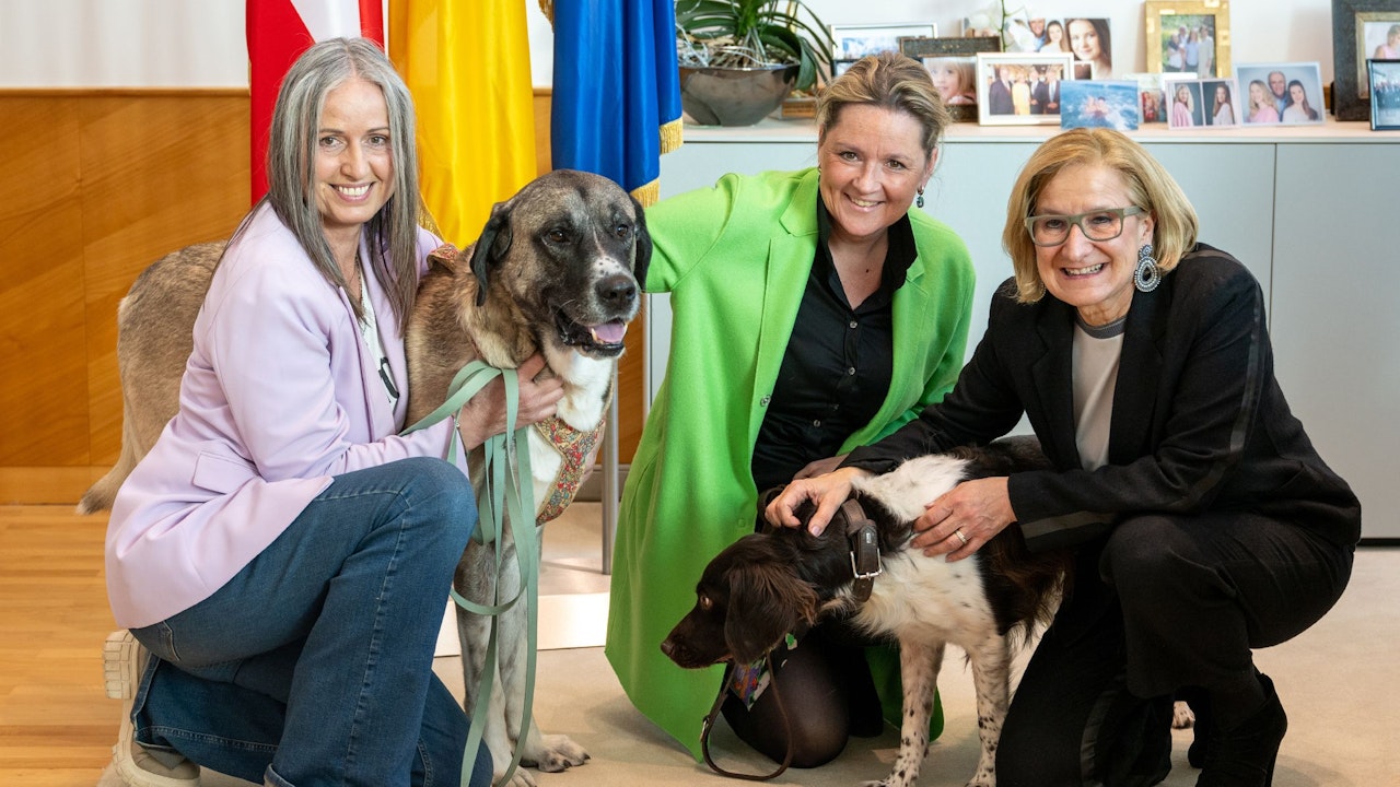 Heute.at - Wau! Förderungen für Tierheime werden jetzt verdoppelt