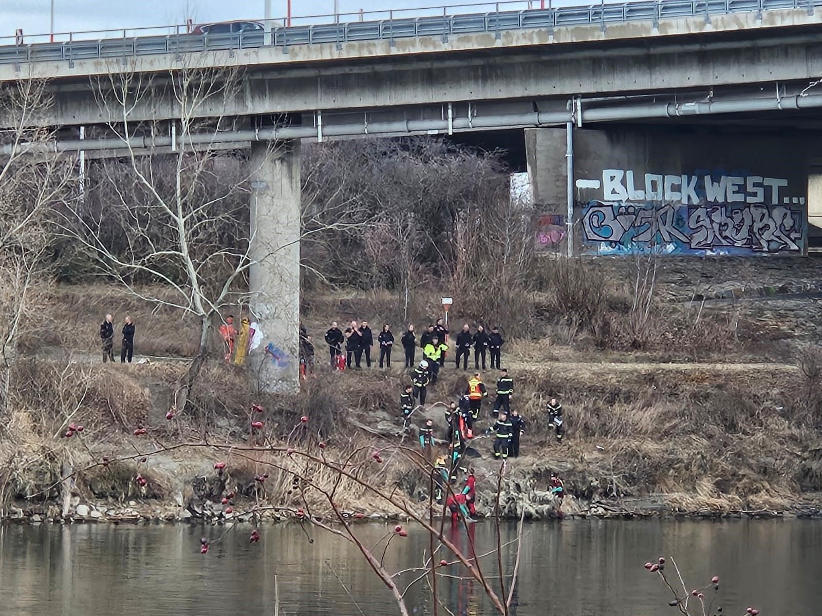 Nächste Wasserleiche: Großeinsatz an der Donau