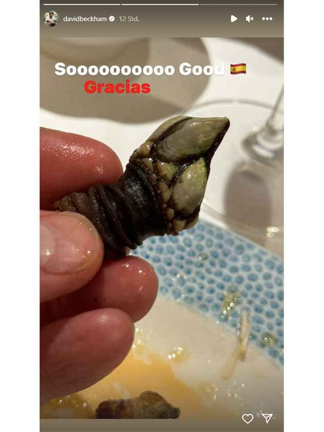 David findet die "Krallen" soooo gut.