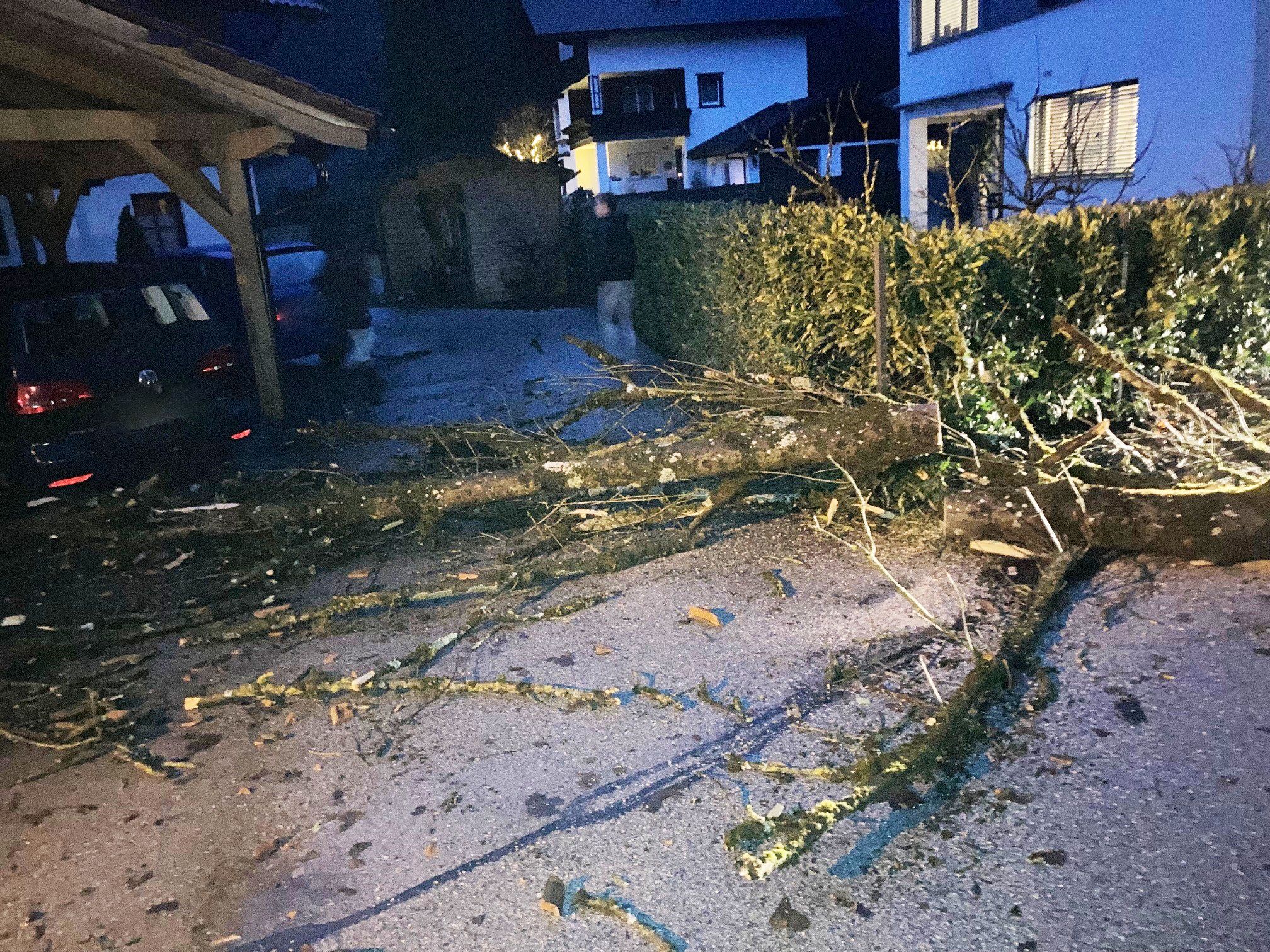 In den vergangenen Tagen sorgte Sturm für massive Schäden in Österreich. Auch am Freitag rechnen Meteorologen nit einem stürmischen Westwind. Archivbild. 