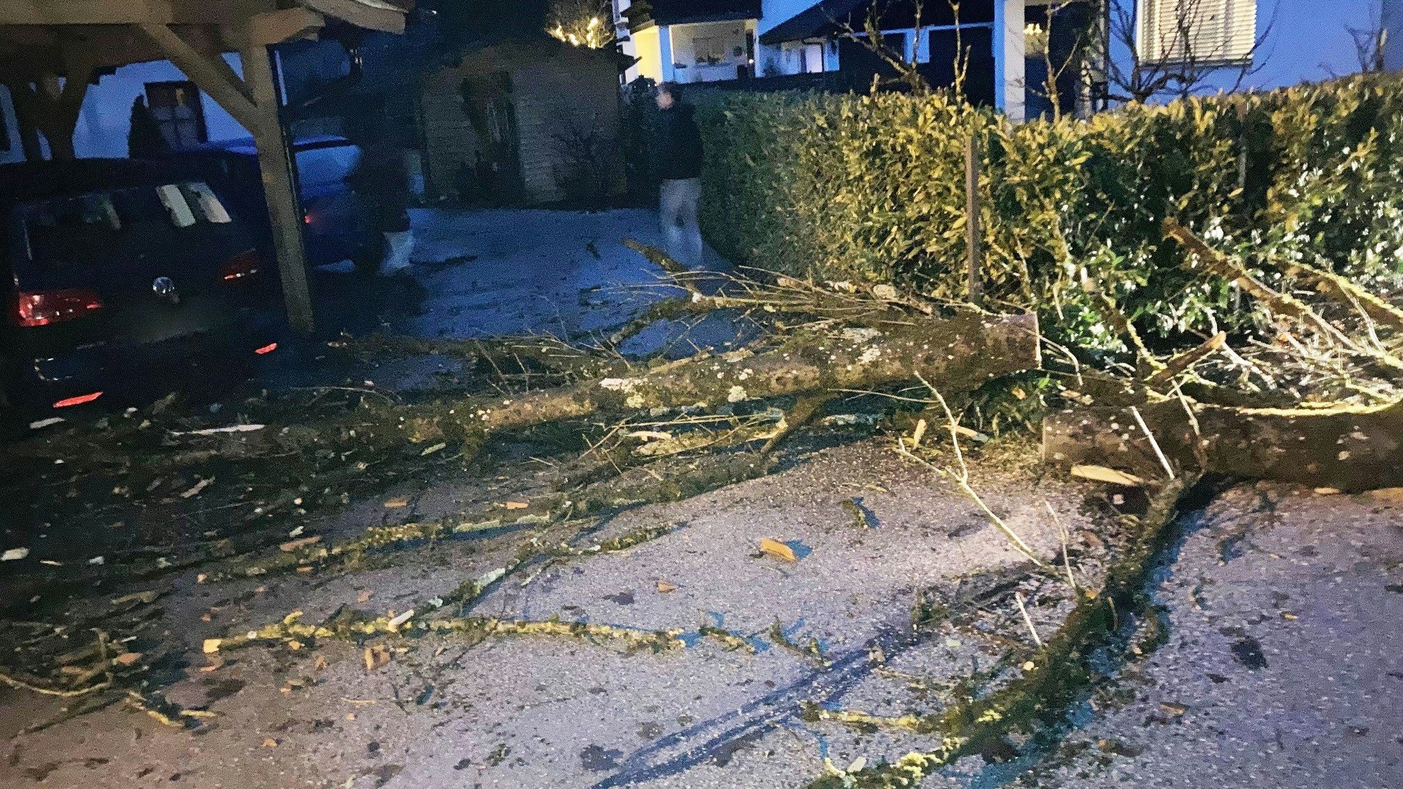 In den vergangenen Tagen sorgte Sturm für massive Schäden in Österreich. Auch am Freitag rechnen Meteorologen nit einem stürmischen Westwind. Archivbild. 