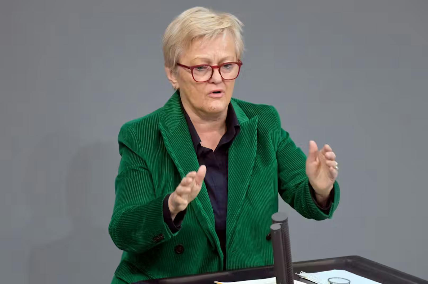 Angestoßen wurde das Verfahren von der Bundestagsabgeordneten Renate Künast.