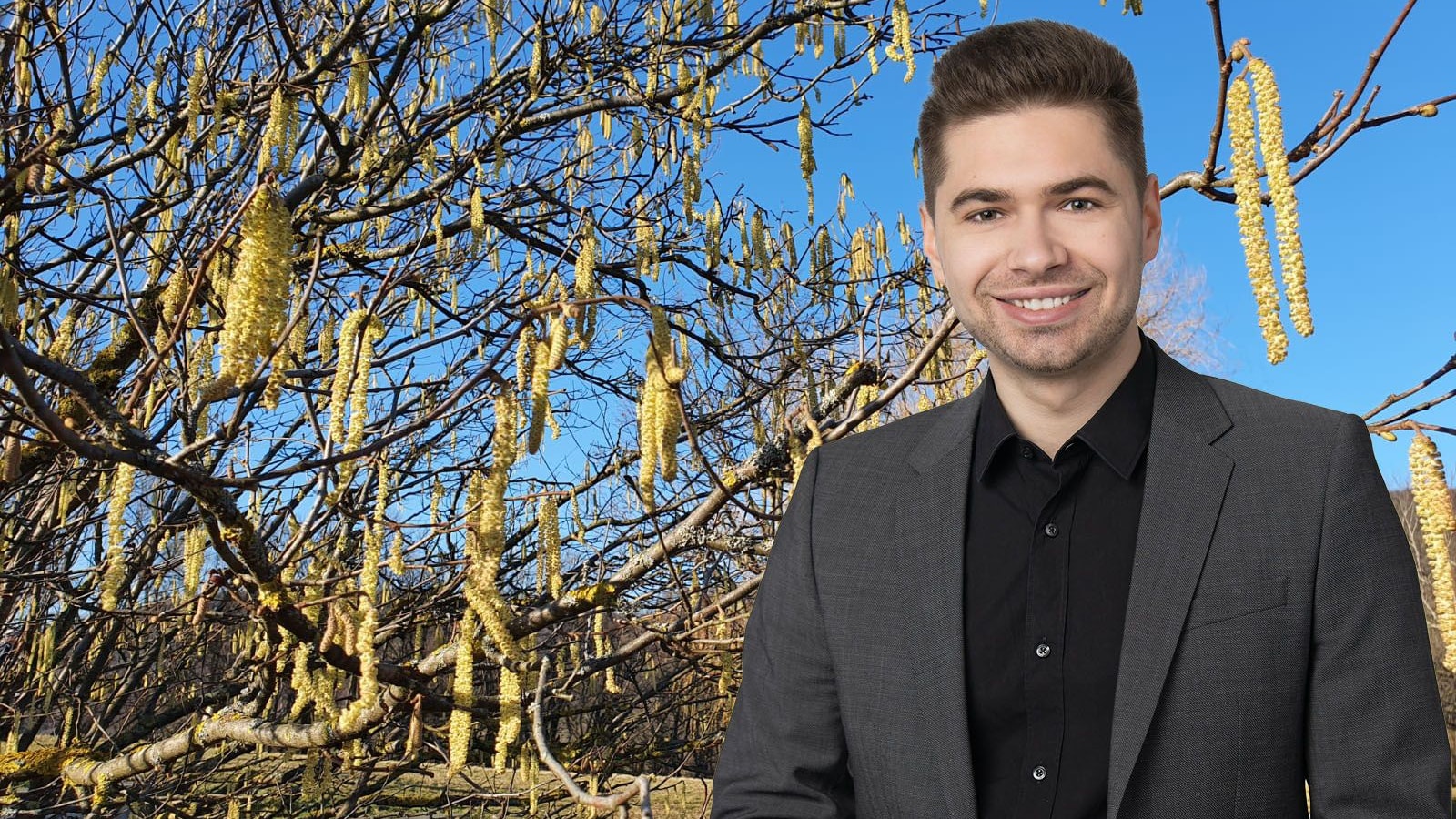 Haselnussstrauch, Pollensaison, Dr. Markus Berger