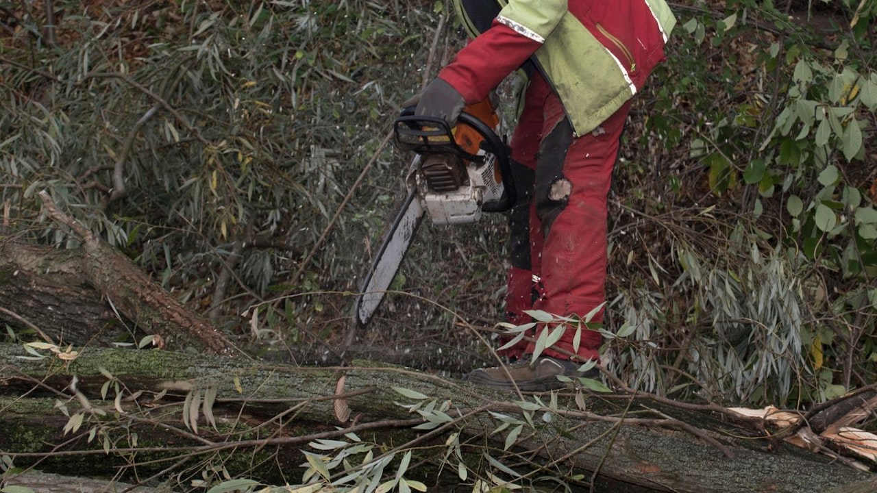 Heute.at - Nachbar findet getöteten Steirer (67) in Wald