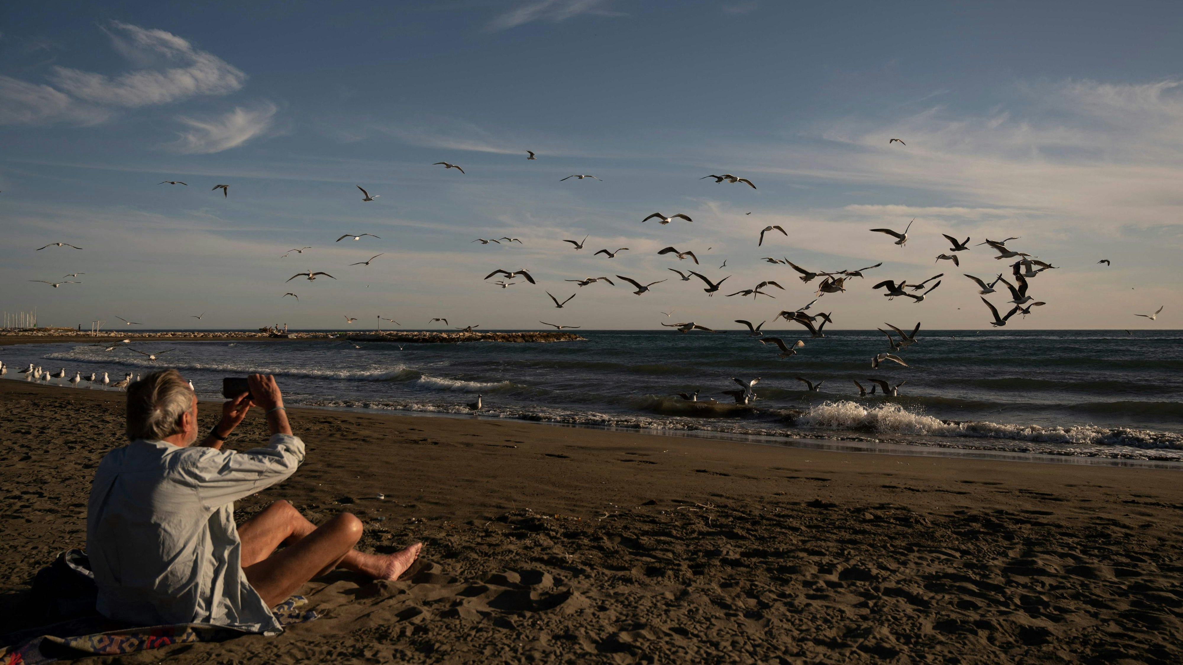 Download von www.picturedesk.com am 26.01.2024 (12:01).  A man takes photos of the seagulls at El Palo beach in Malaga on December 12, 2023. (Photo by JORGE GUERRERO / AFP) - 20231212_PD6498 - Rechteinfo: Rights Managed (RM) Nur für redaktionelle Nutzung! Werbliche Nutzung erfordert Freigabe: bitte schicken Sie uns eine Anfrage.
