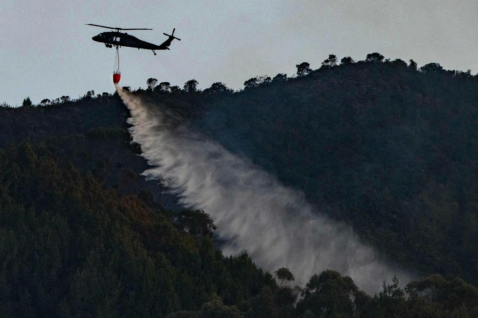 Im ganzen Land kämpft die Feuerwehr gegen 31 aktive Waldbrände.