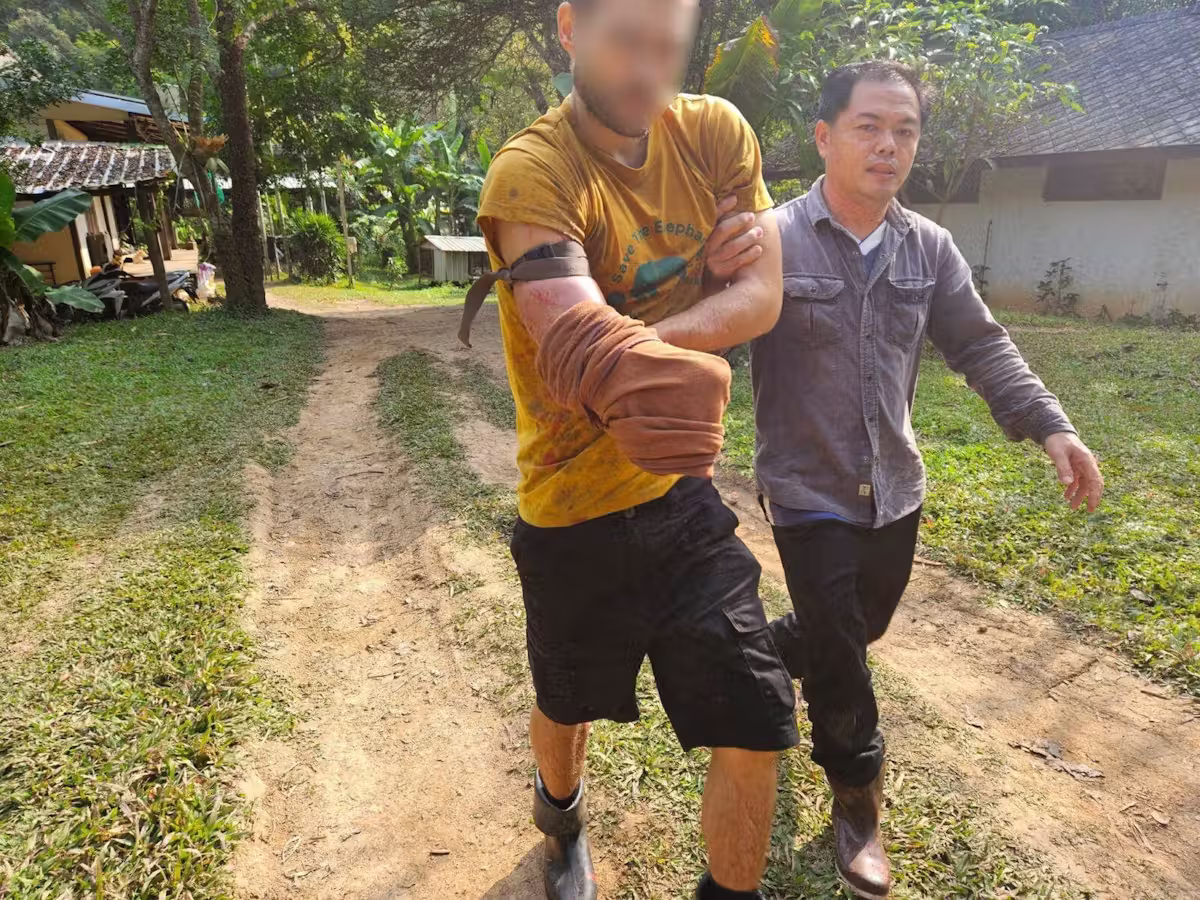 Schweizer schneidet sich Arm ab – um Bären nicht zu verletzen.