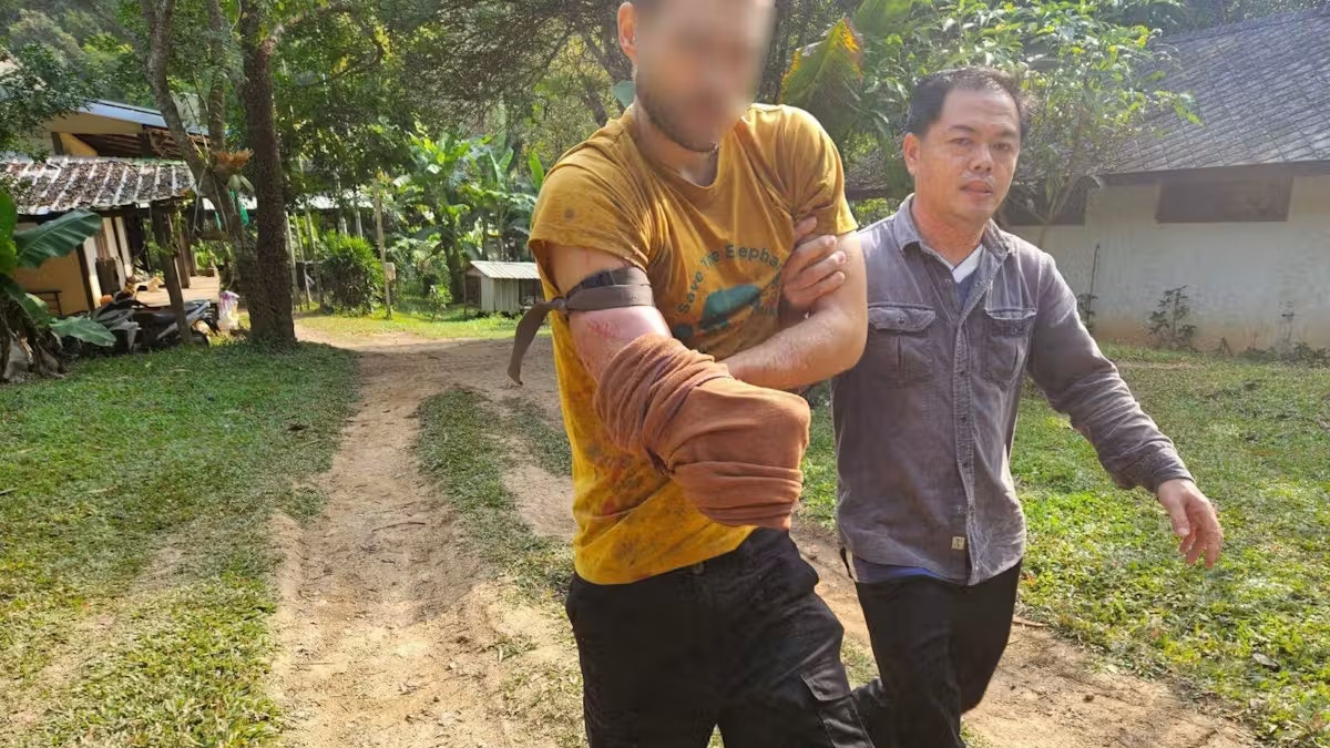 Schweizer schneidet sich Arm ab – um Bären nicht zu verletzen