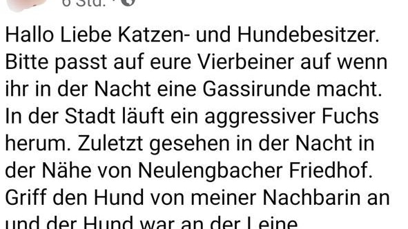 Auf Facebook wurde vor dem aggressiven Fuchs gewarnt.