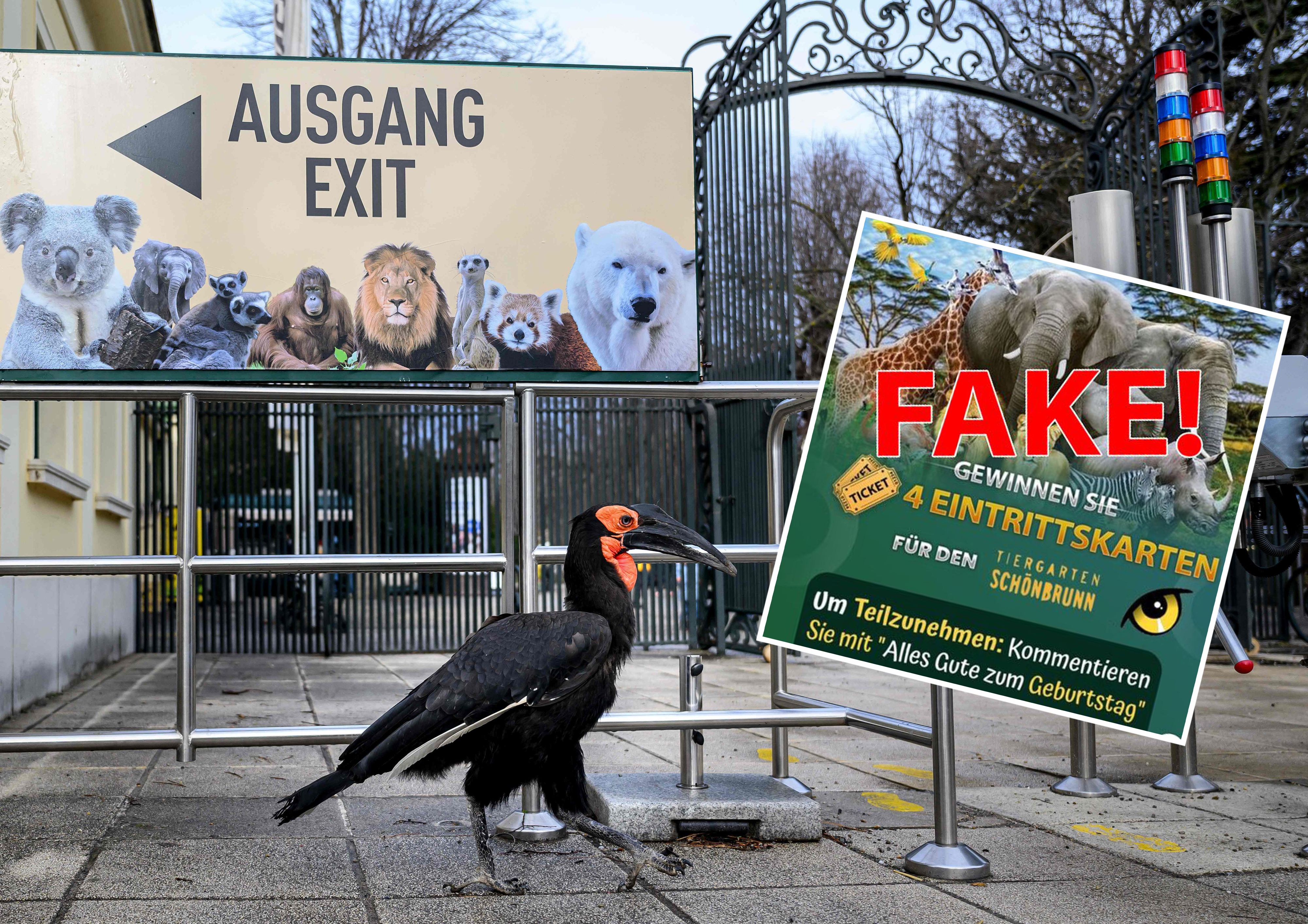 Derzeit sind wieder Fake-Gewinnspiele des Zoos im Umlauf.