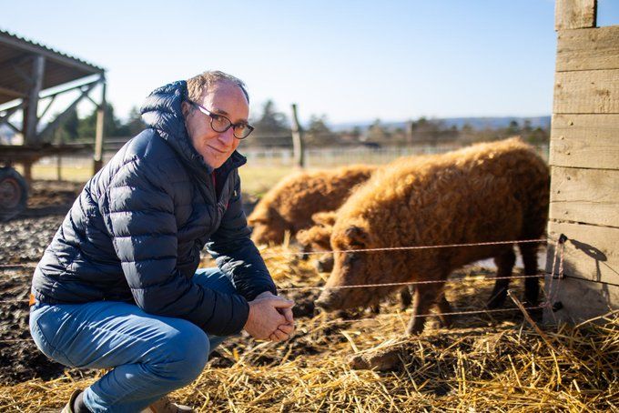 Grünen-Minister Johannes Rauchs Plan sieht vor, dass Schweine in Zukunft nur noch mit Stroh und Auslauf gehalten werden.