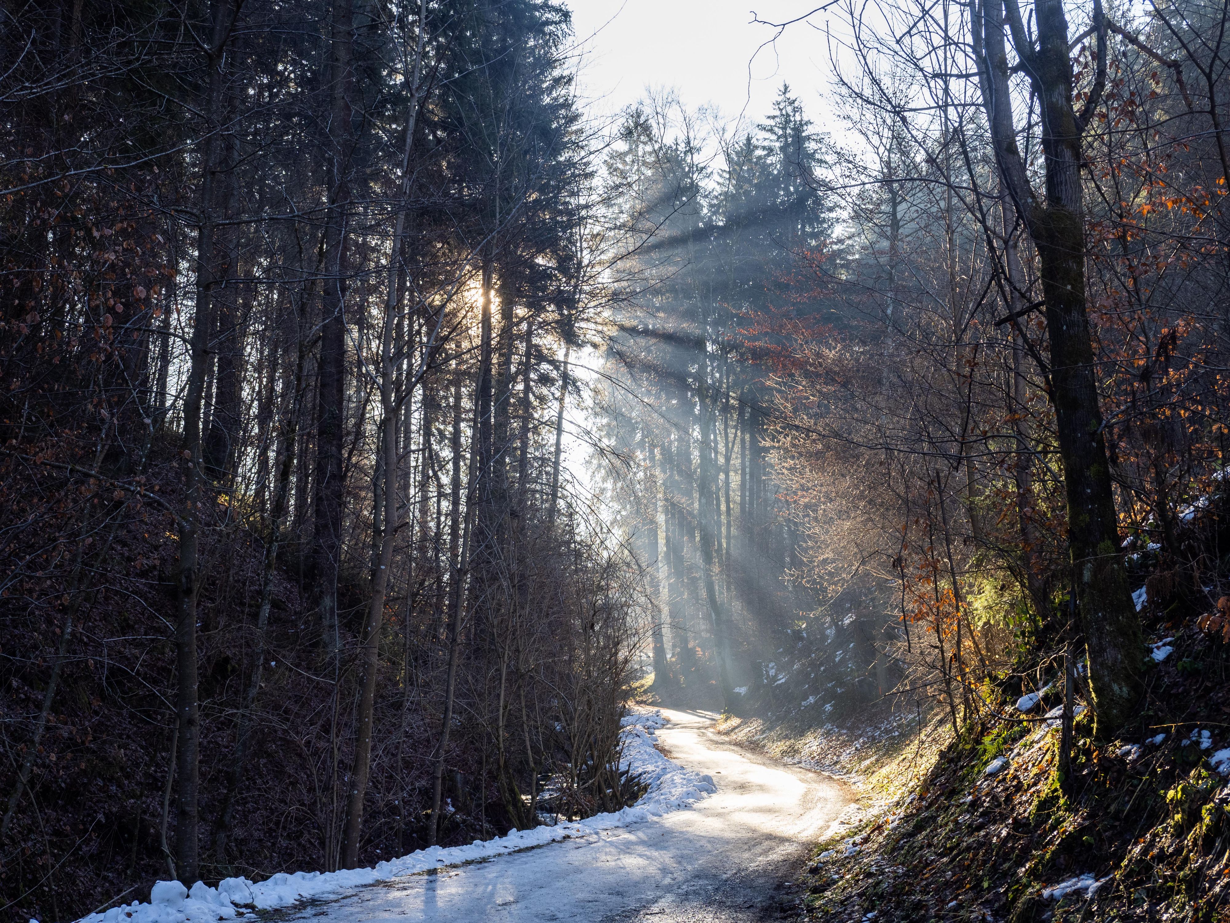 Umweltschützer fordern von der Politik mehr Schutzmaßnahmen für Klima und Natur ein.