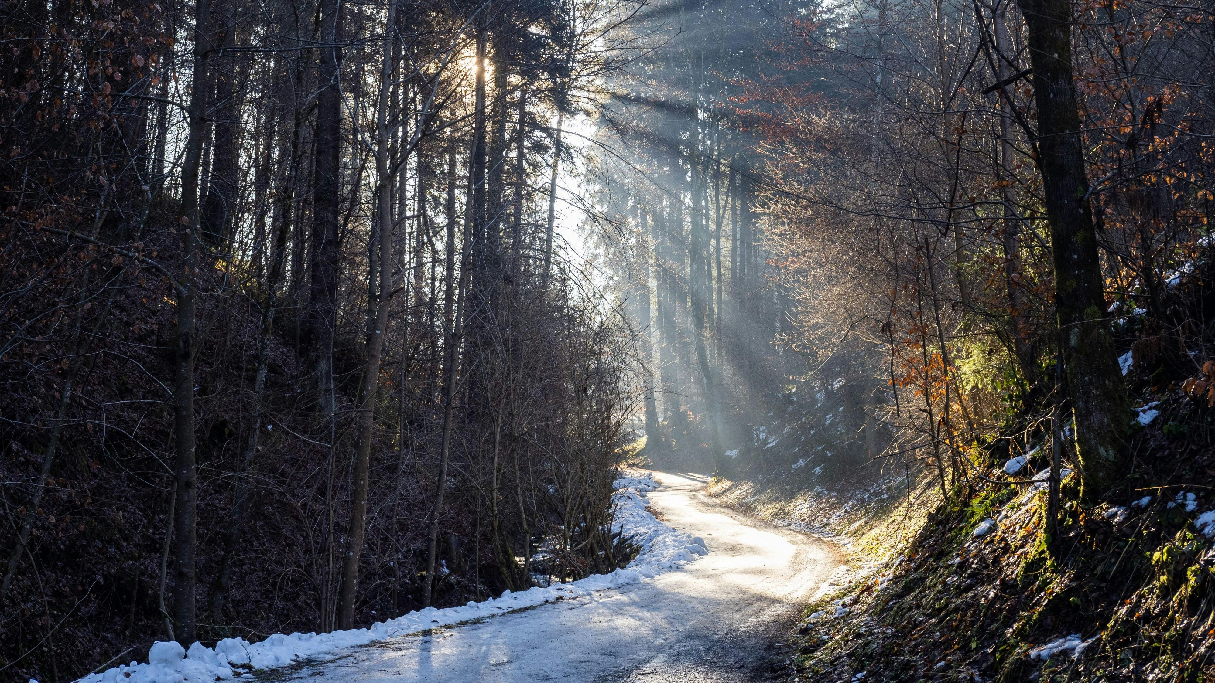Download von www.picturedesk.com am 29.01.2024 (15:32).  Wintersonne, Sonnenstrahlen brechen durch den Wald, Weitental, bei Bruck an der Mur, Steiermark, Österreich, Europa - 20231228_PD10344 - Rechteinfo: Royalty Free (RF)