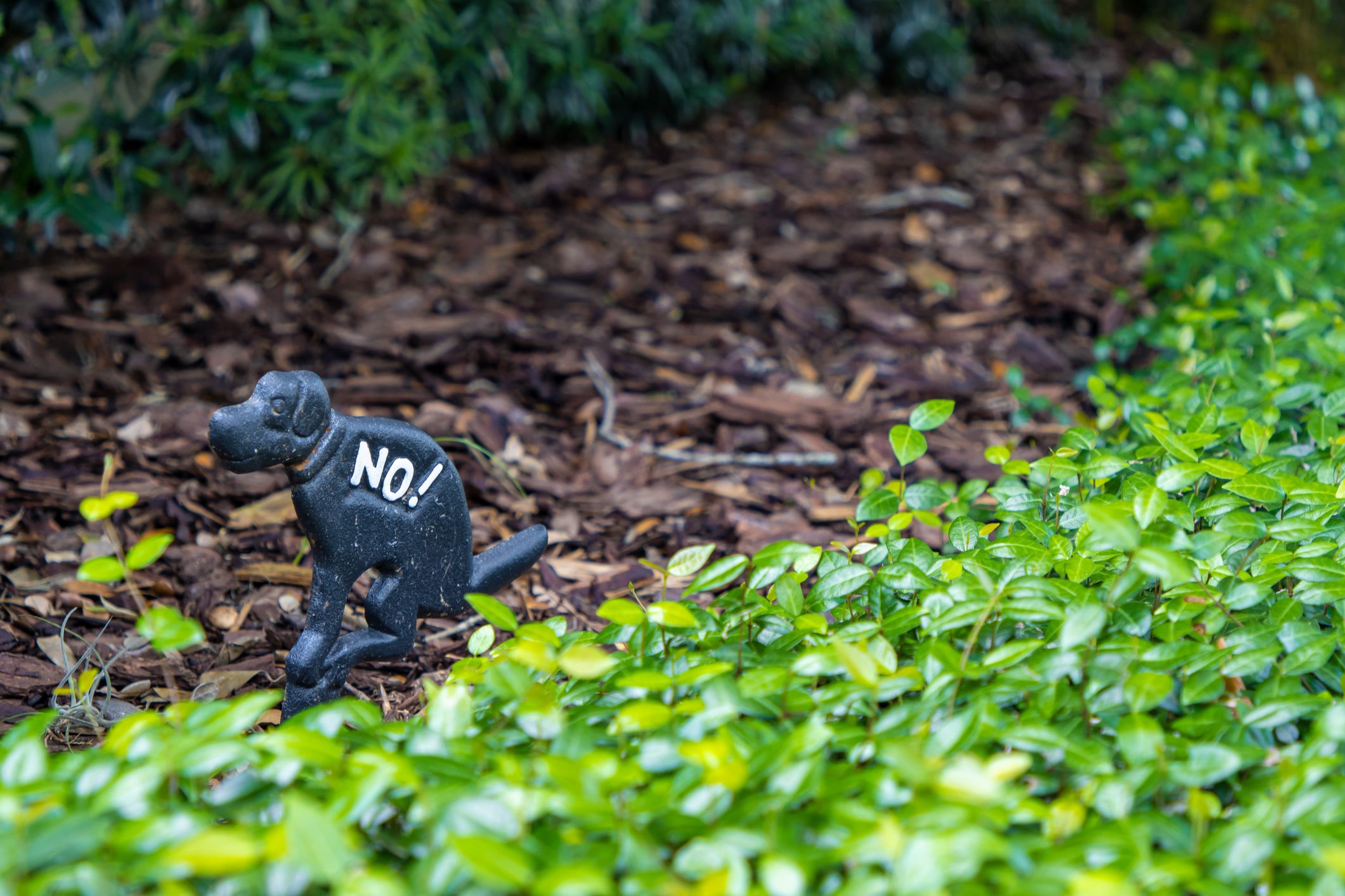 Wir lieben Hunde, doch die Hinterlassenschaften nicht ganz so sehr.&nbsp;