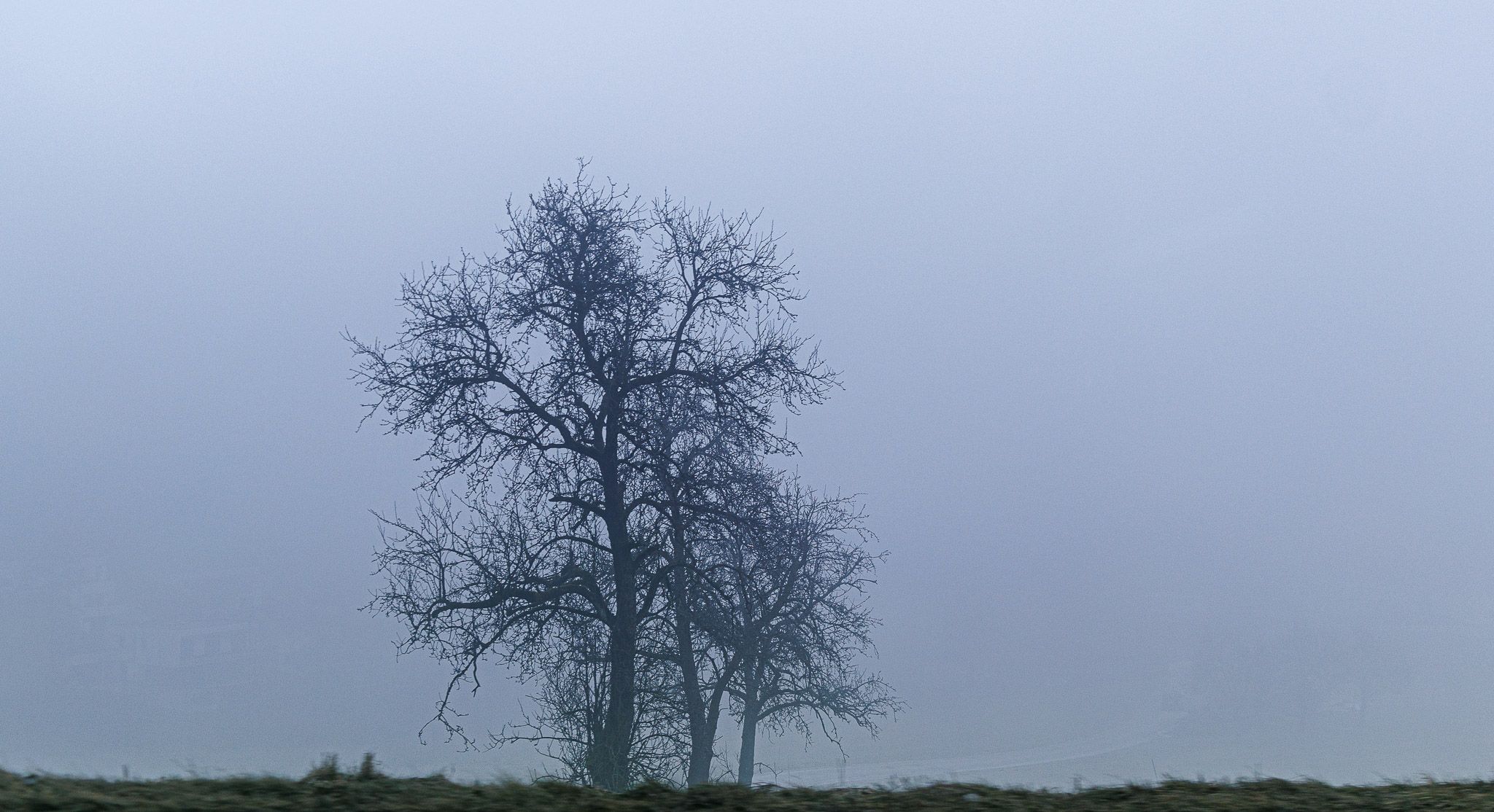 Achtung Nebel – Wetter Bringt Jetzt Unliebsamen Gast – Wetter | Heute.at