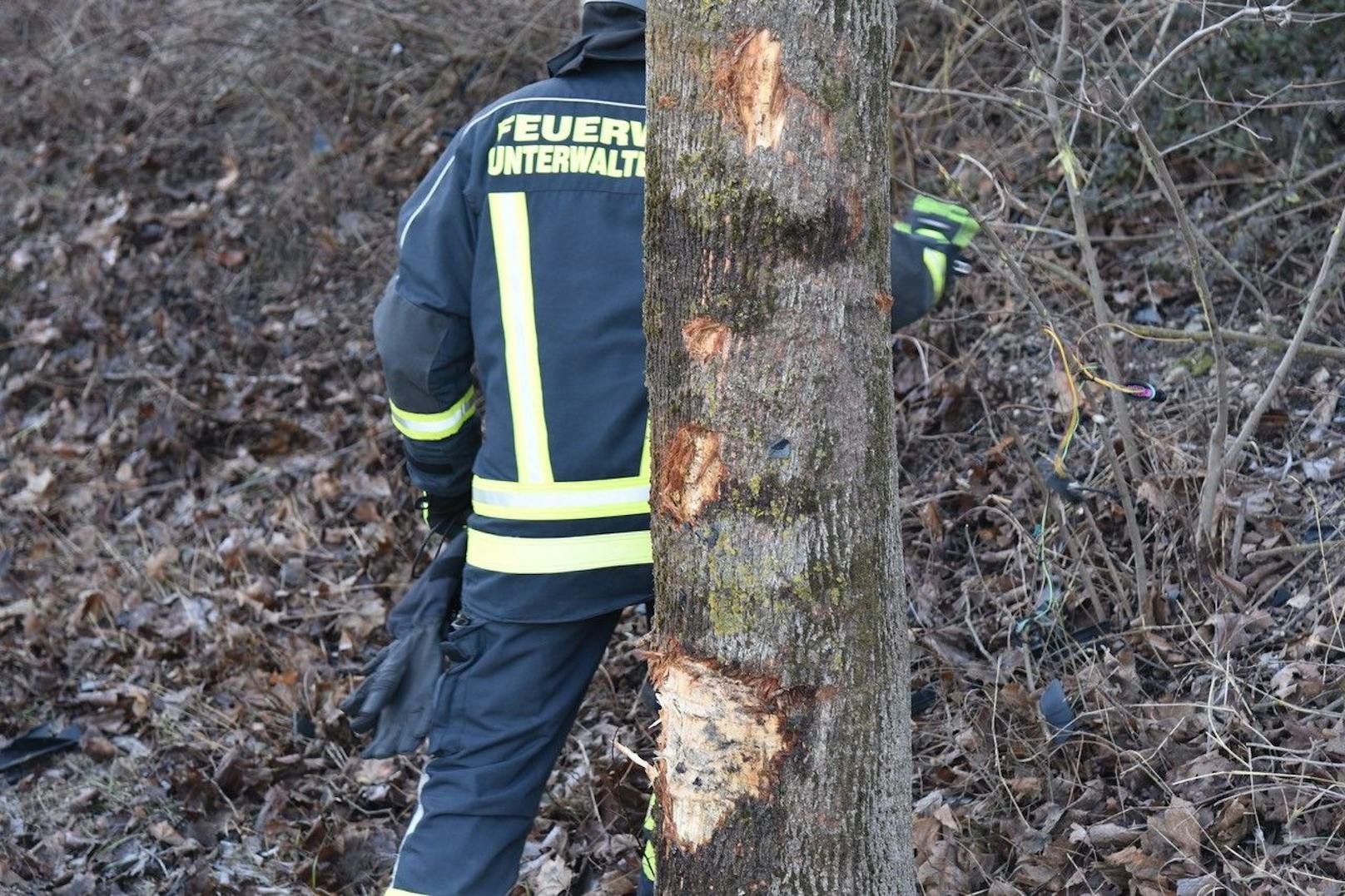 Der Lenker krachten bei Unterwaltersdorf gegen einen Baum