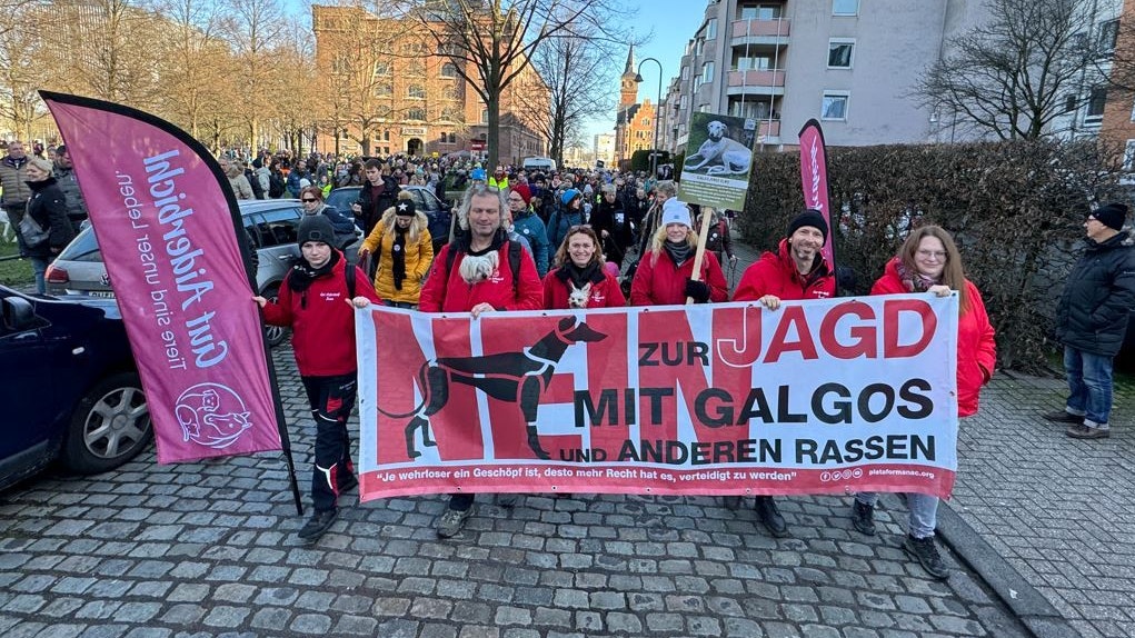 Gut Aiderbichler waren beim Galgo-Marsch in Köln ganz vorne mit dabei.&nbsp;
