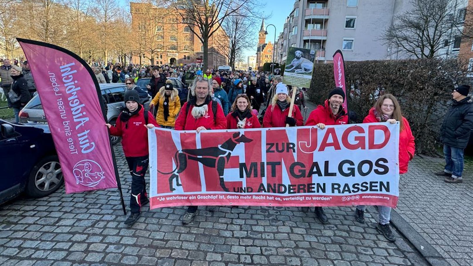 Gut Aiderbichler waren beim Galgo-Marsch in Köln ganz vorne mit dabei.&nbsp;