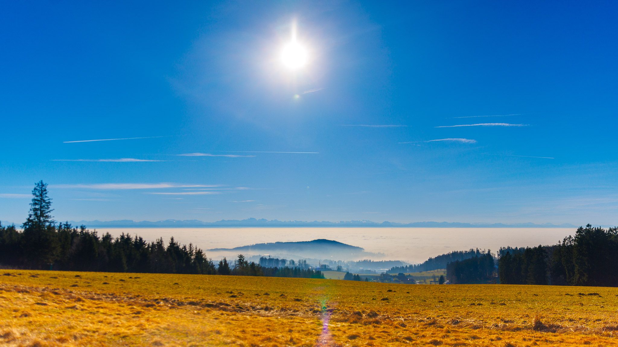 Am 30. März 2024 wurden 25 Grad in Österreich gemessen.