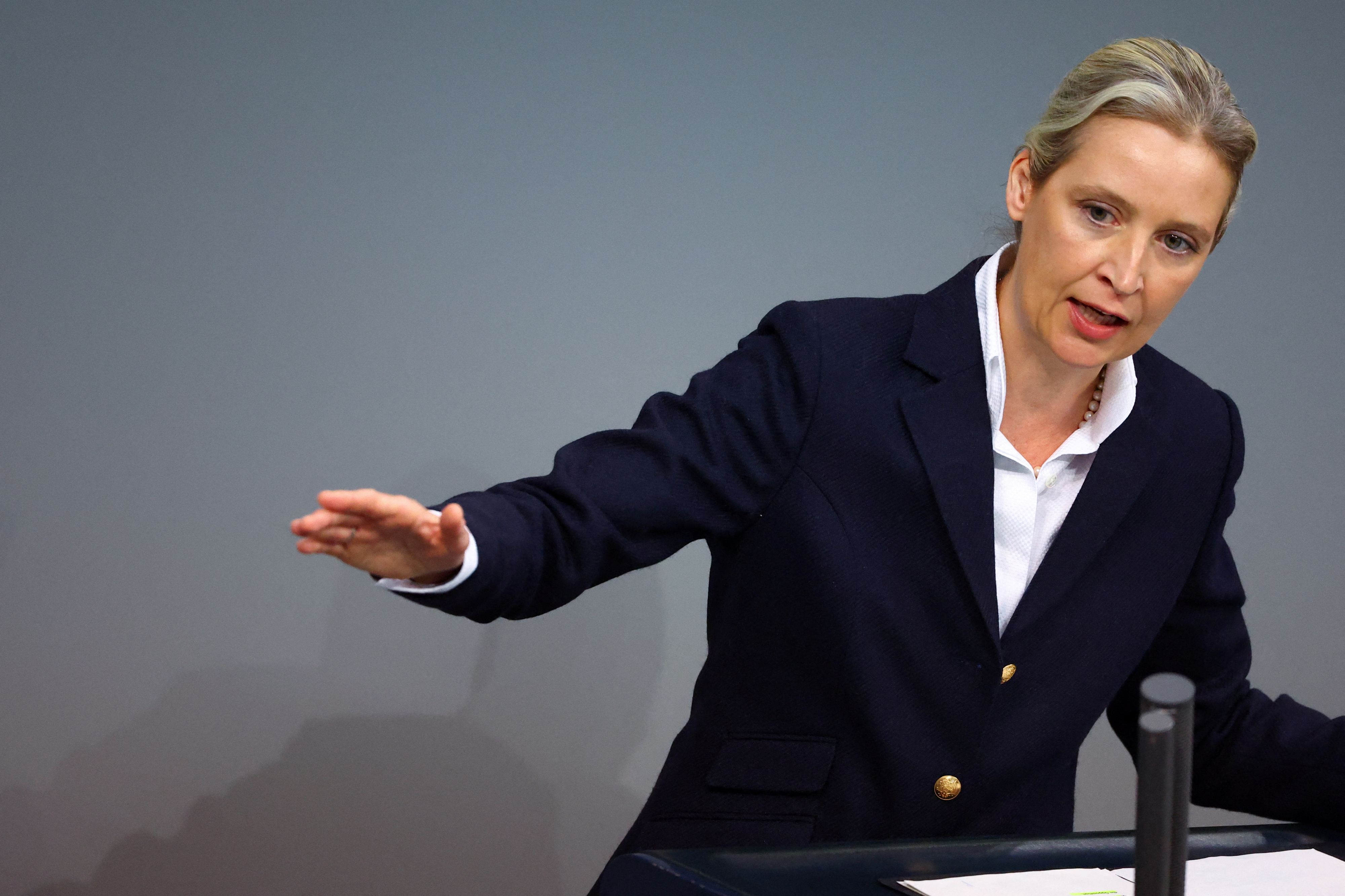 Alice Weidel (AfD) im Deutschen Bundestag. 