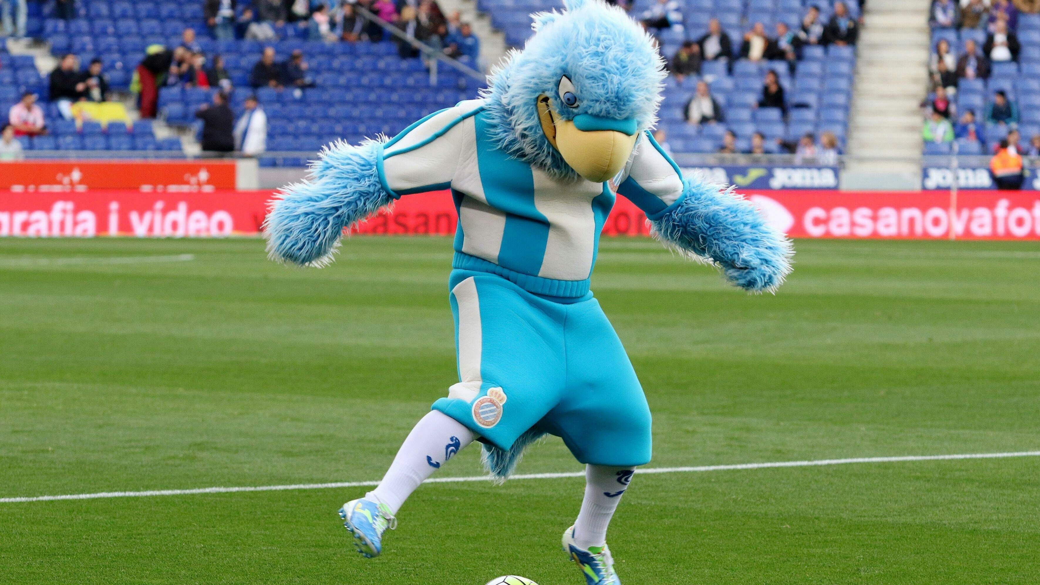 Der Wellensittich "Periquito" ist das Maskottchen von Espanyol Barcelona.