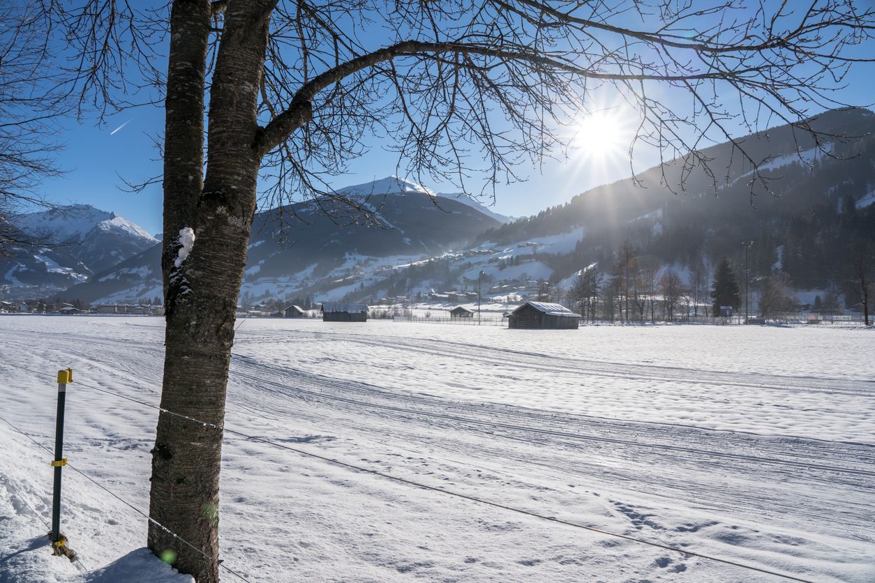 Trotz Kaltfront ist ein Wintereinbruch in den kommenden Tagen kein Thema. Zum Wochenende stellt sich eine milde Wetterphase ein. (Symbolbild)