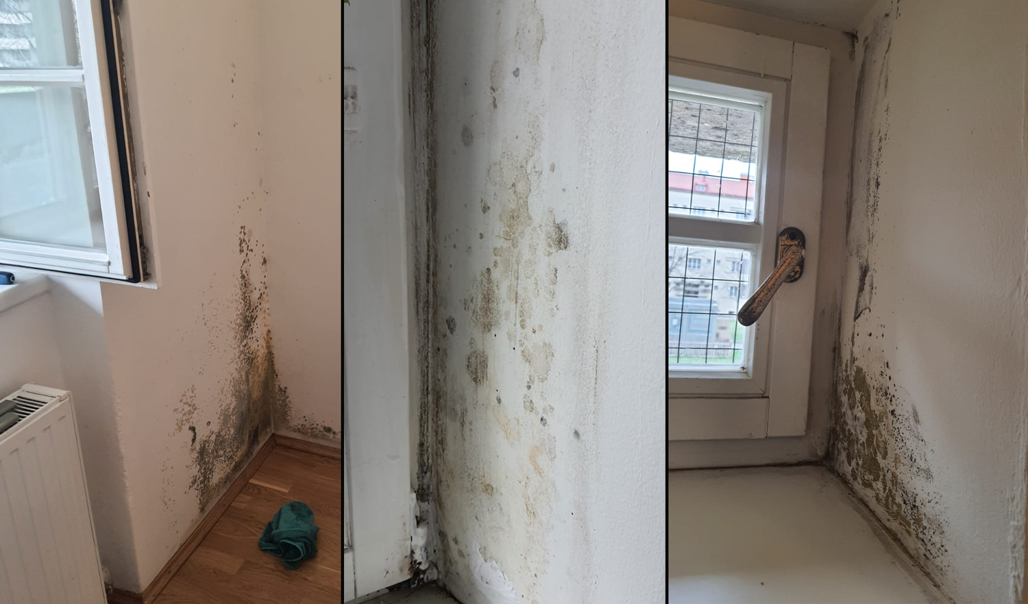 Die Zustände in ihrer Wohnung scheinen sich einfach nicht zu verbessern. Die Familie will einfach nur noch raus aus dem 