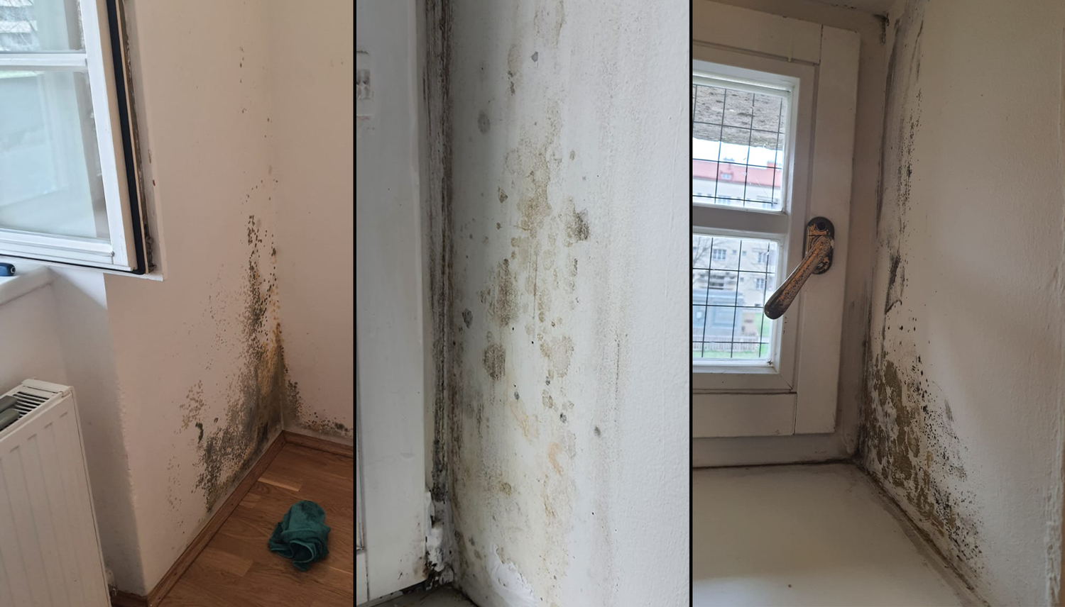 Die Zustände in ihrer Wohnung scheinen sich einfach nicht zu verbessern. Die Familie will einfach nur noch raus aus dem "Schimmelloch".