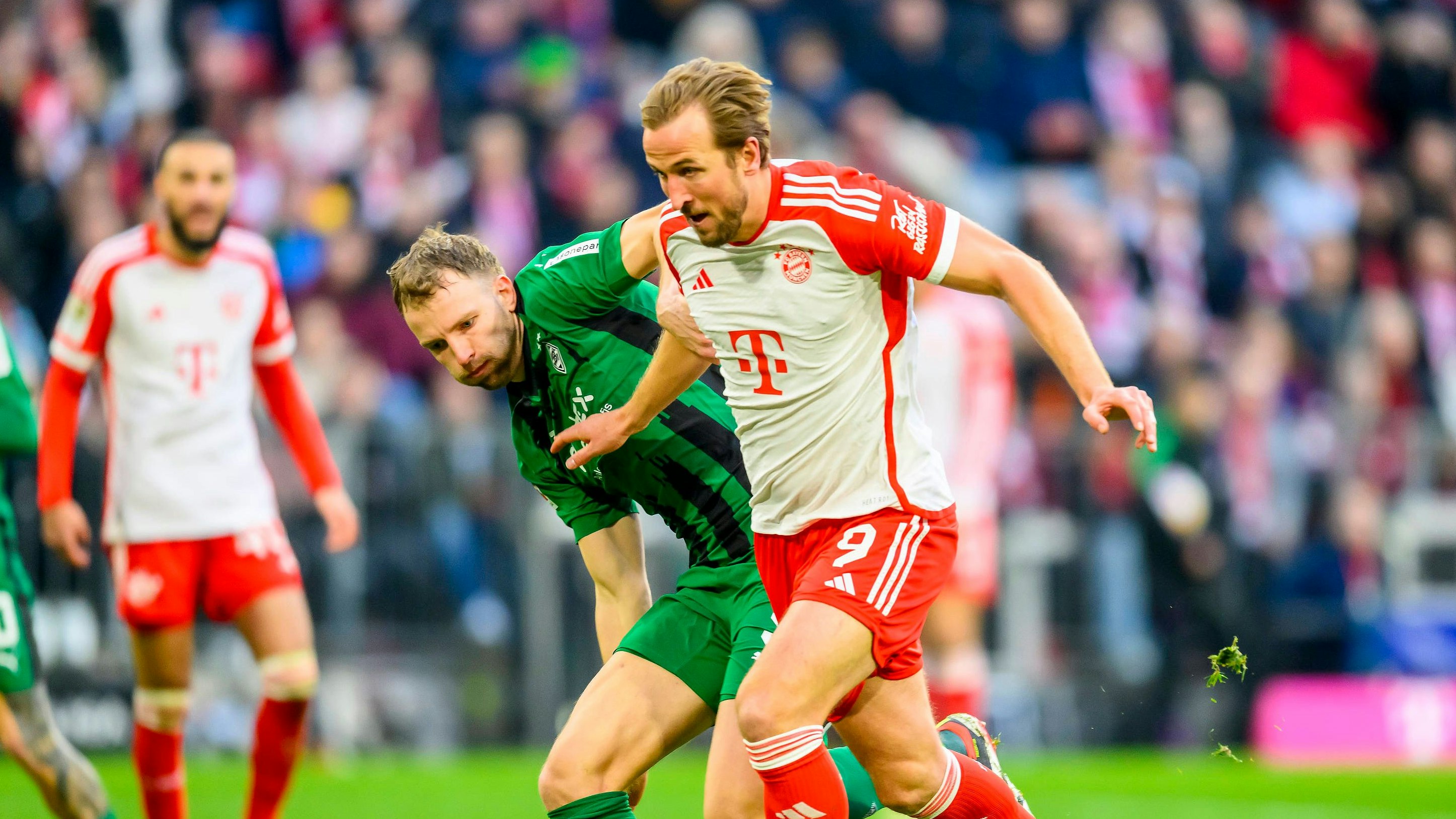 Bayern-Torjäger Harry Kane