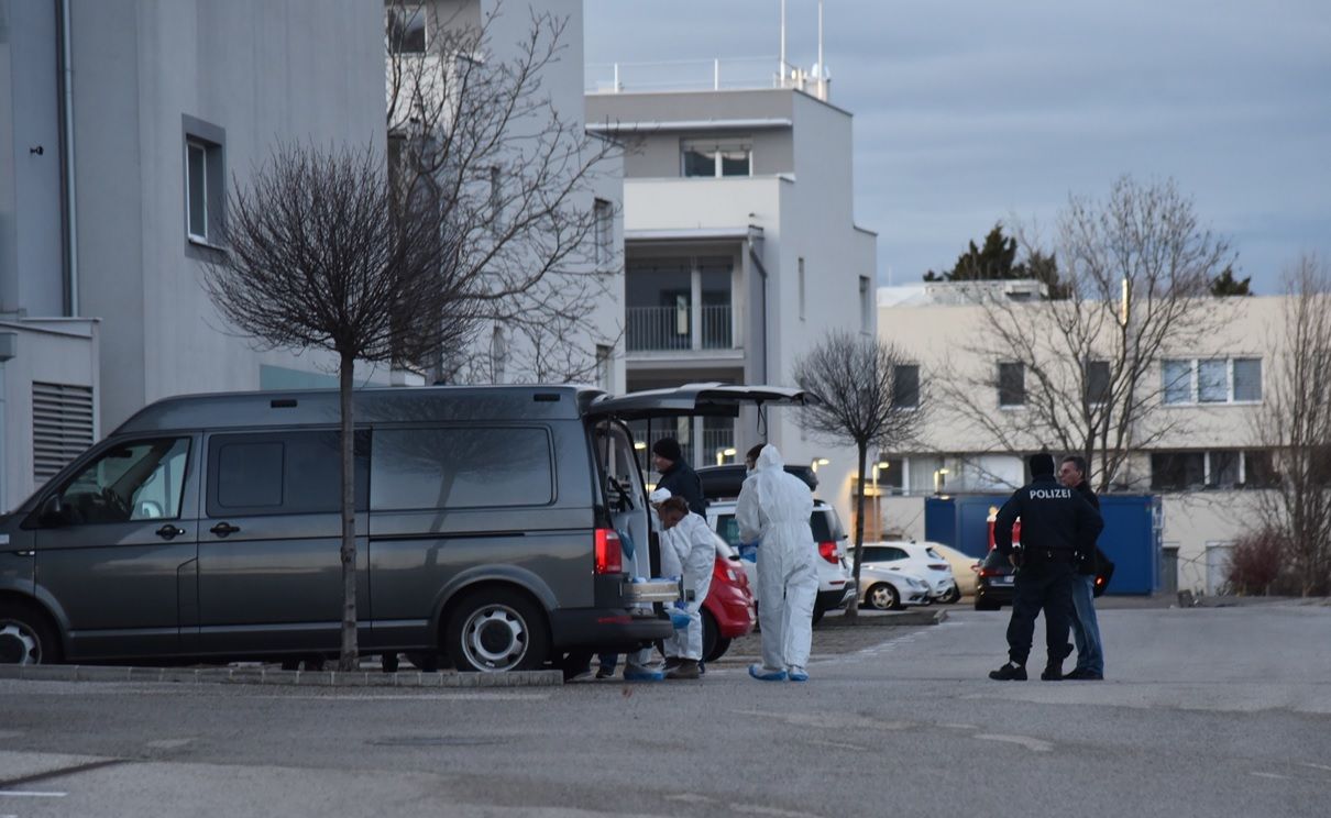 Das LKA hat die Ermittlungen rund um den Fall mit drei Toten in Bad Vöslau übernommen.