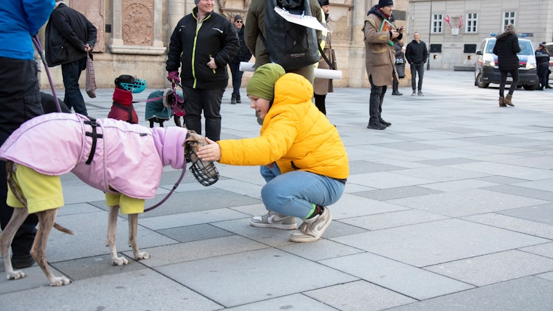 Mit dieser Protestaktion soll das Bewusstsein für die armen, spanischen Windhunde geschaffen werden.&nbsp;