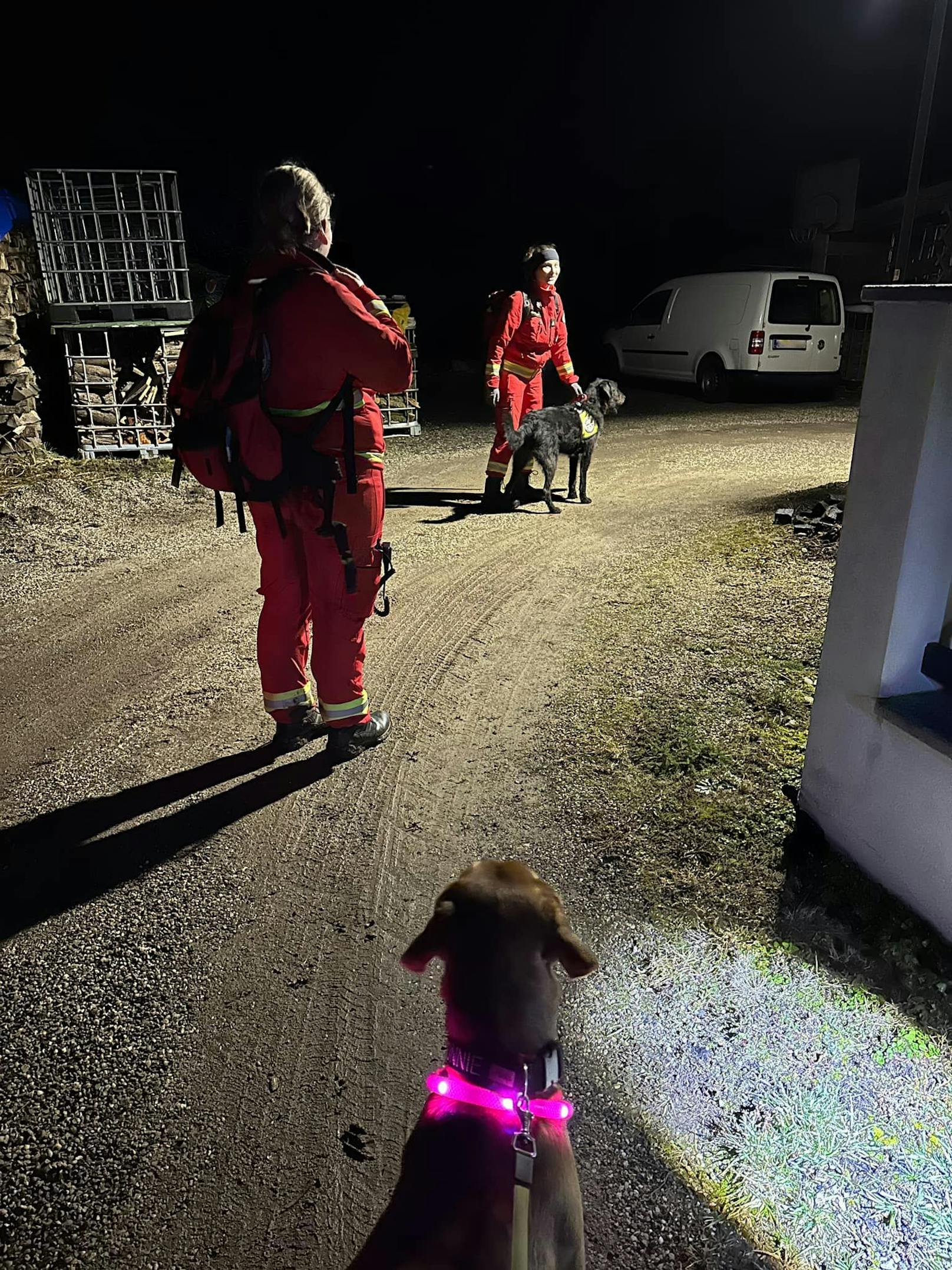 Mehrere Suchtrupps standen im Einsatz.