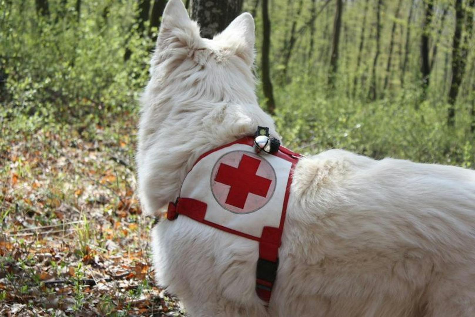 Der vermisste Mann tauchte wohlauf bei seiner Arbeitsstelle auf.