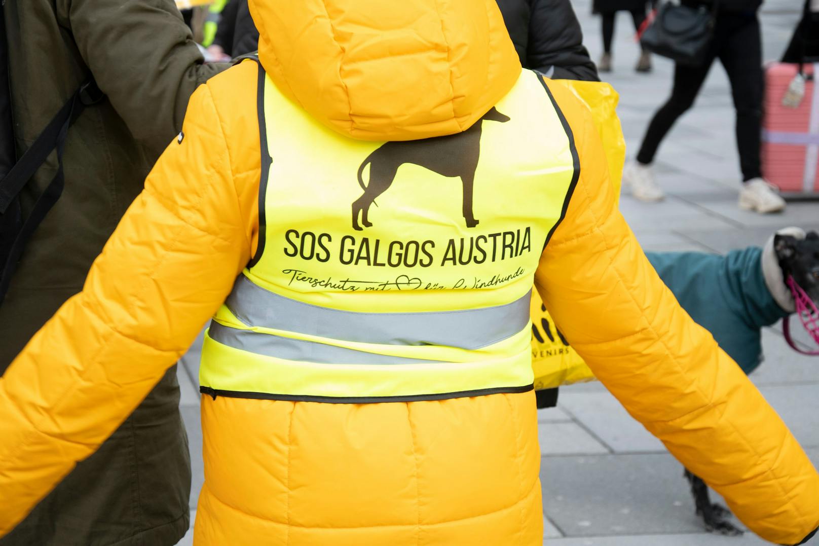 Mehrere Tierschutzorganisationen haben sich zusammengeschlossen um den Marsch zu realisieren.&nbsp;